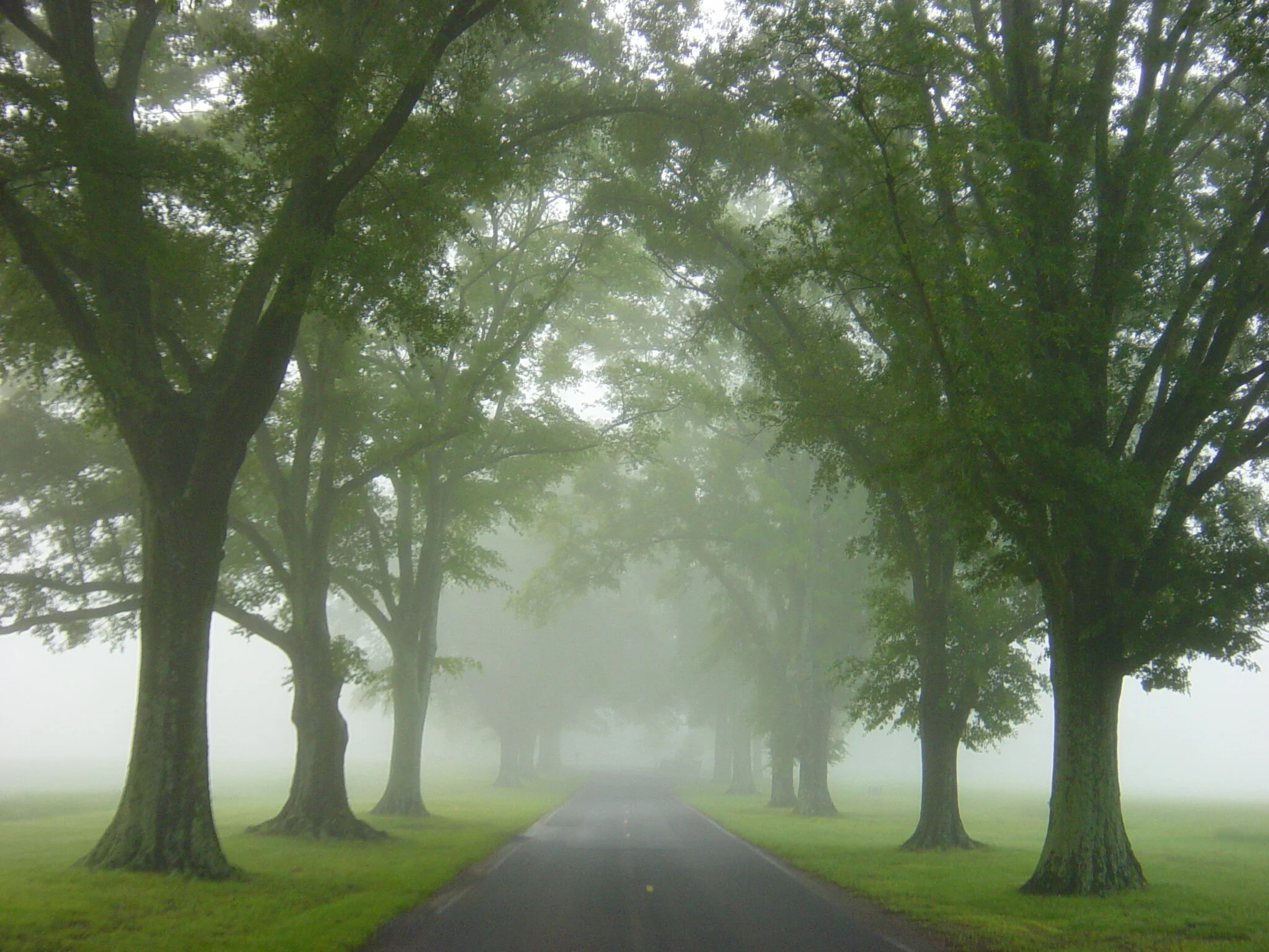 Stretch Road.jpg
