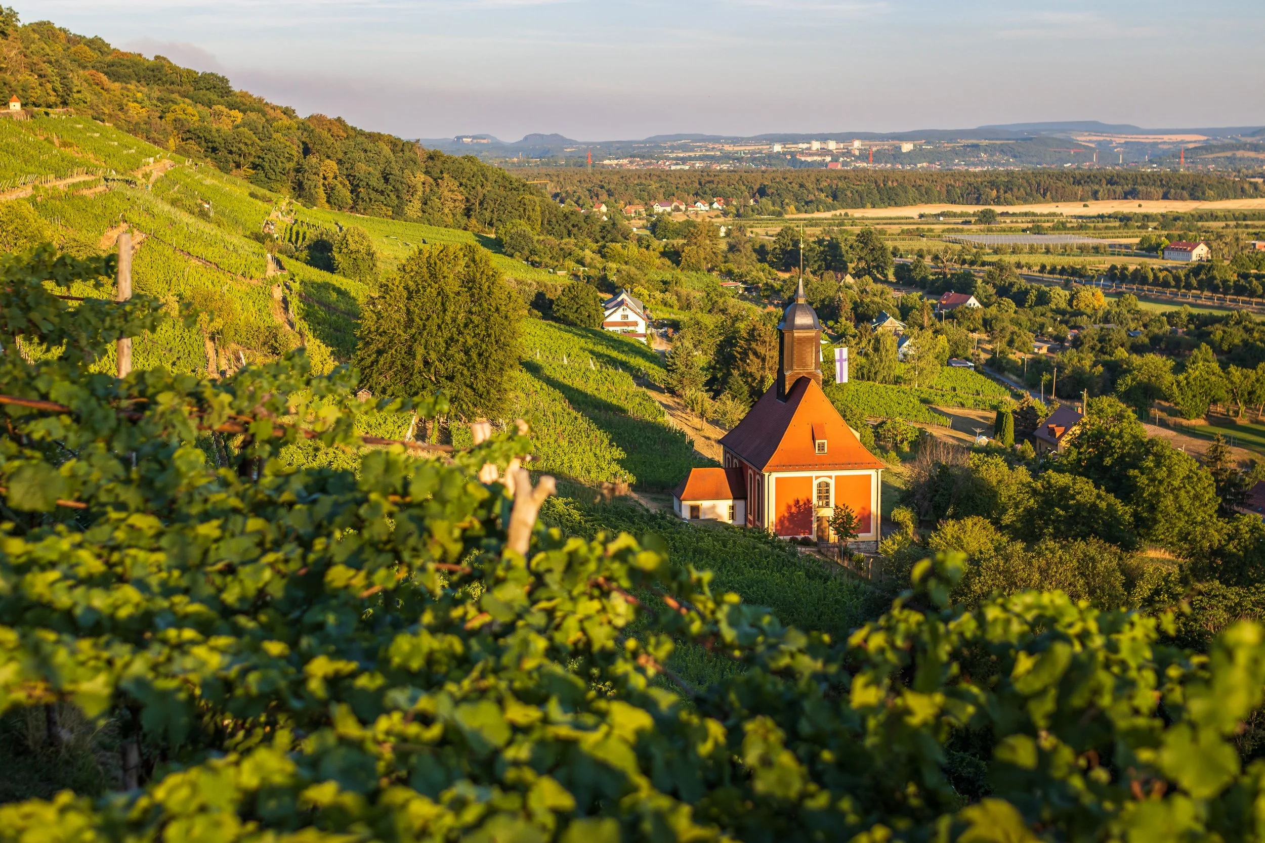 small-church-in-the-vineyard-in-the-elbe-valley-in-2023-04-27-20-05-00-utc.jpg