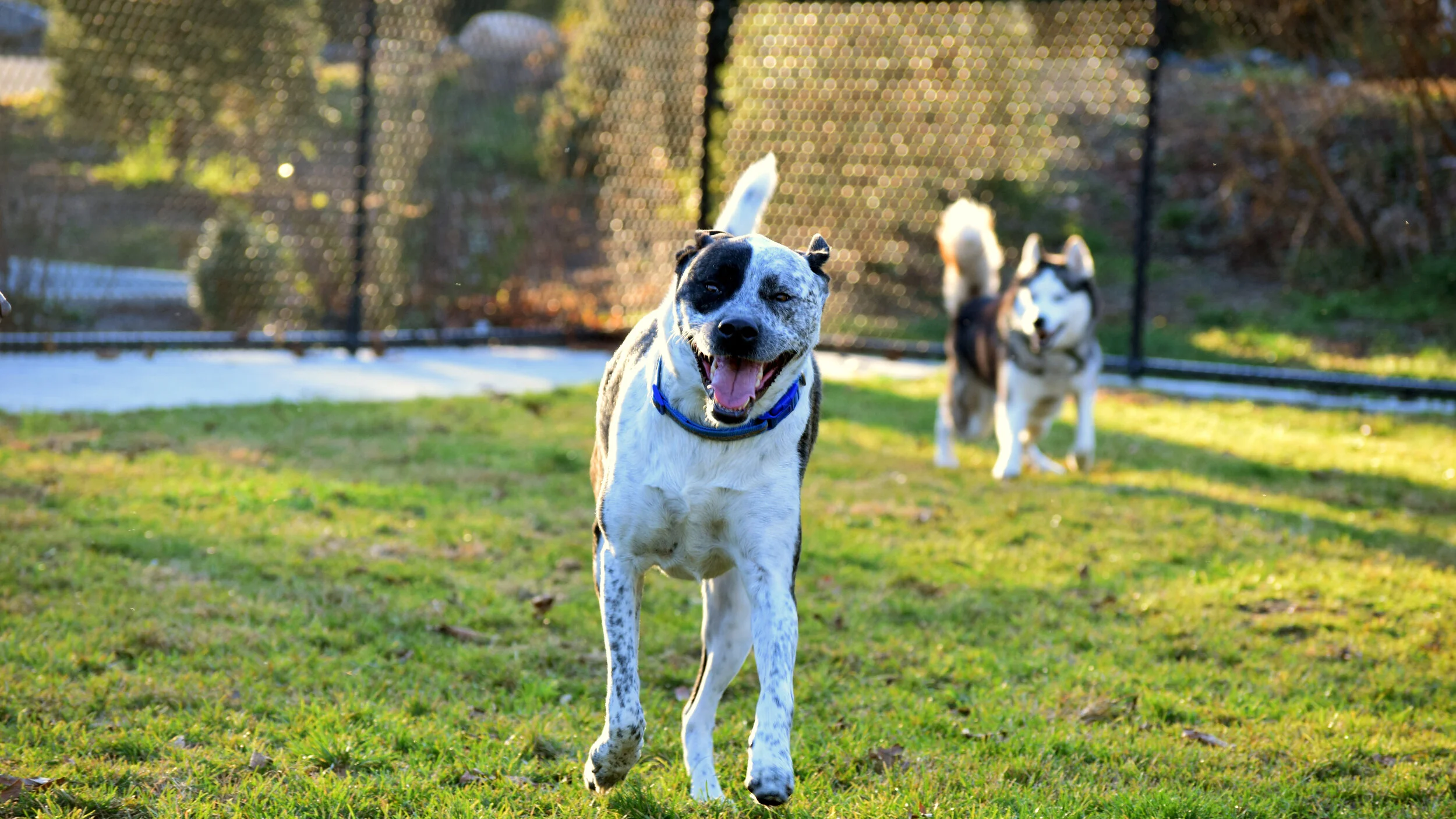 Butters is happy to see his friends!