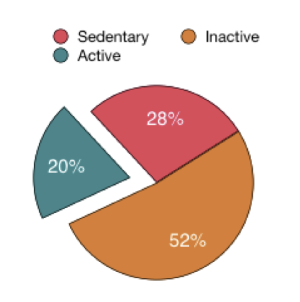 This image shows the difference between active, sedentary and inactive people for group exercise