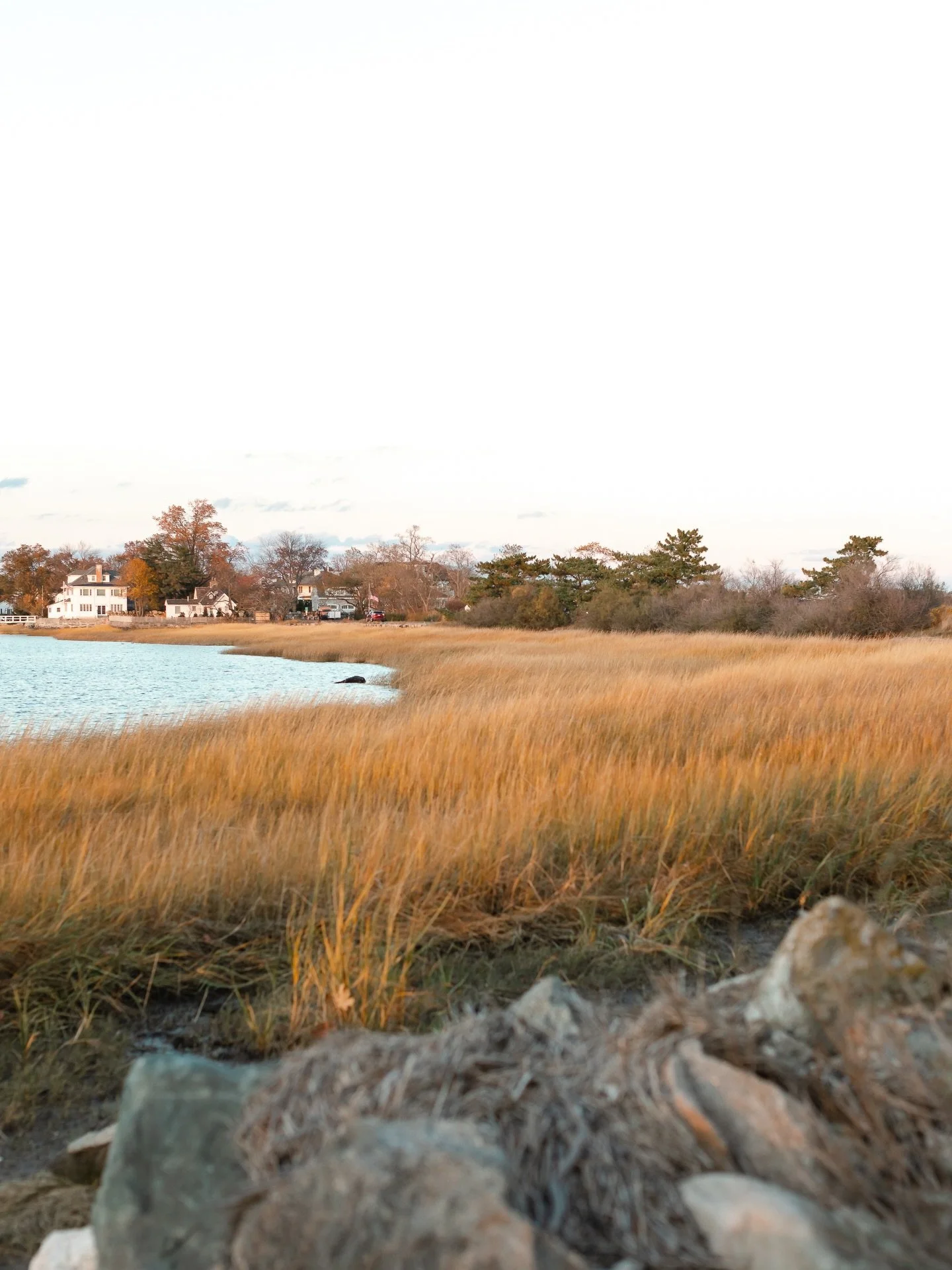 Tod&rsquo;s Point during Golden Hour this Fall 💛