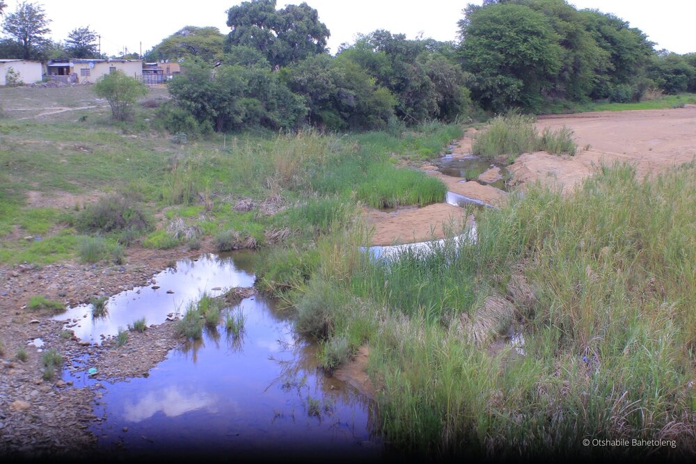The change in riparian habitat near the Tati River