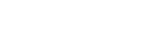 Allison Park Leadership Network