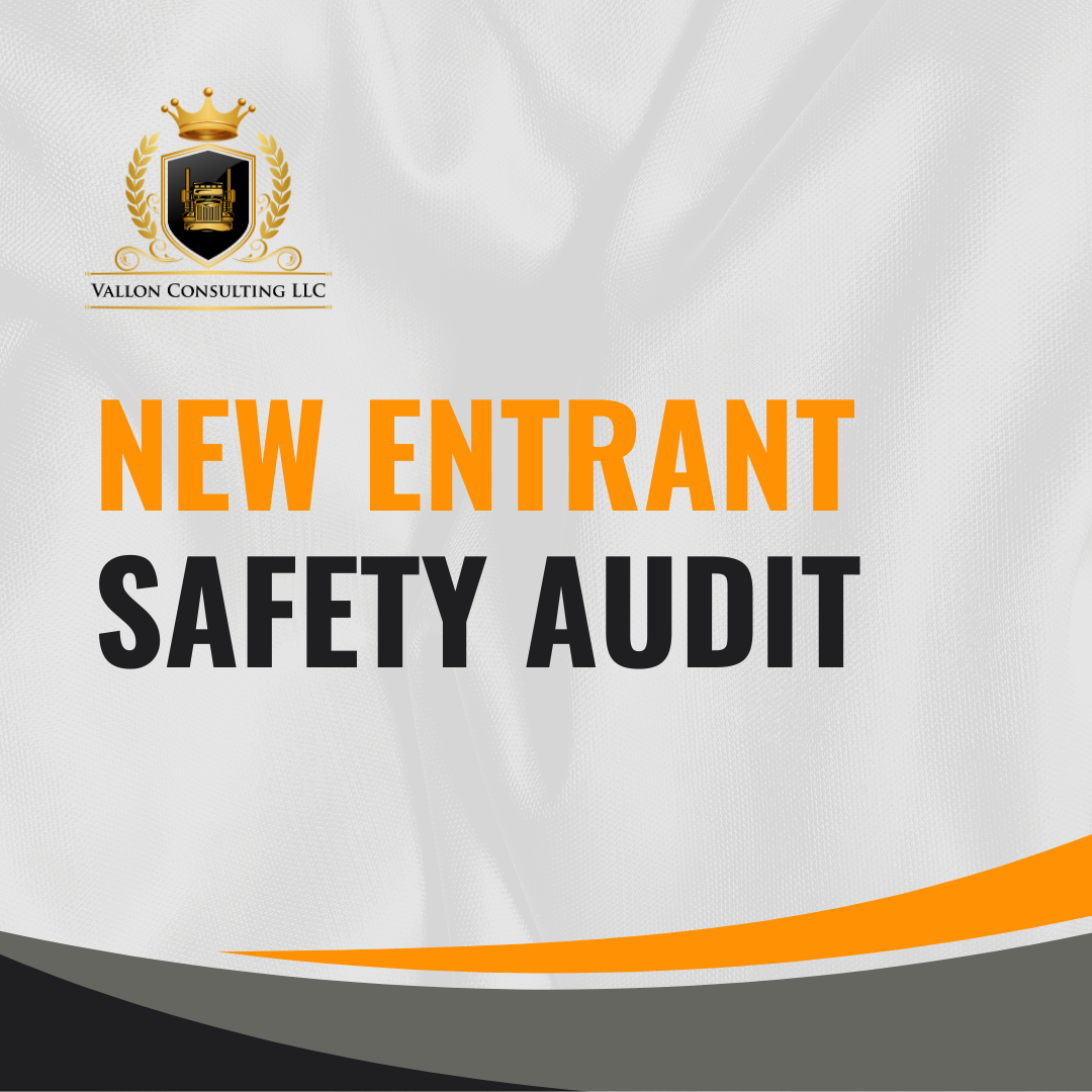New Entrant Safety Audit