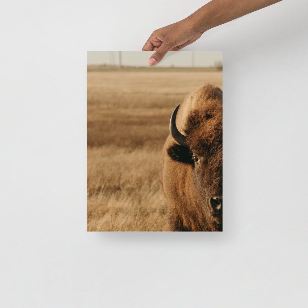 premium-luster-photo-paper-poster-(in)-12x16-front-61ccda94c9a0c.jpg