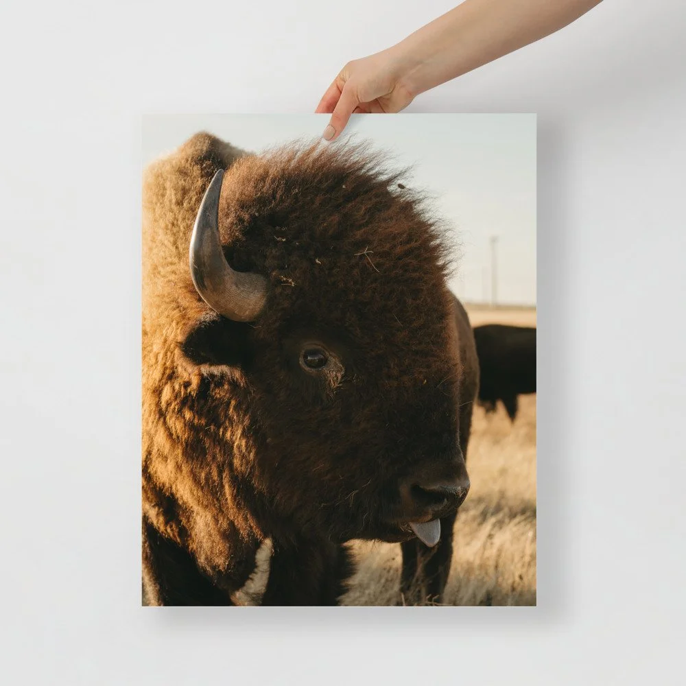 premium-luster-photo-paper-poster-(in)-16x20-front-61db5c24db369.jpg