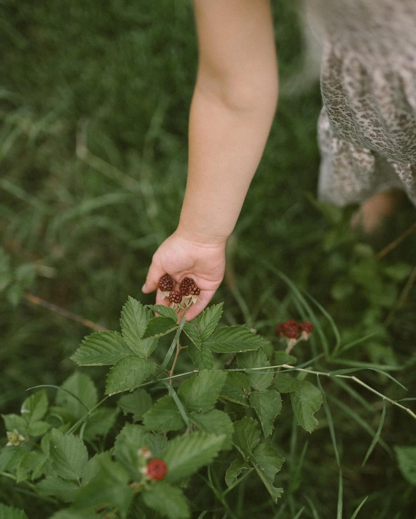 Another annual play date with El &mdash; it&rsquo;s her world, I&rsquo;m just there. 🌱