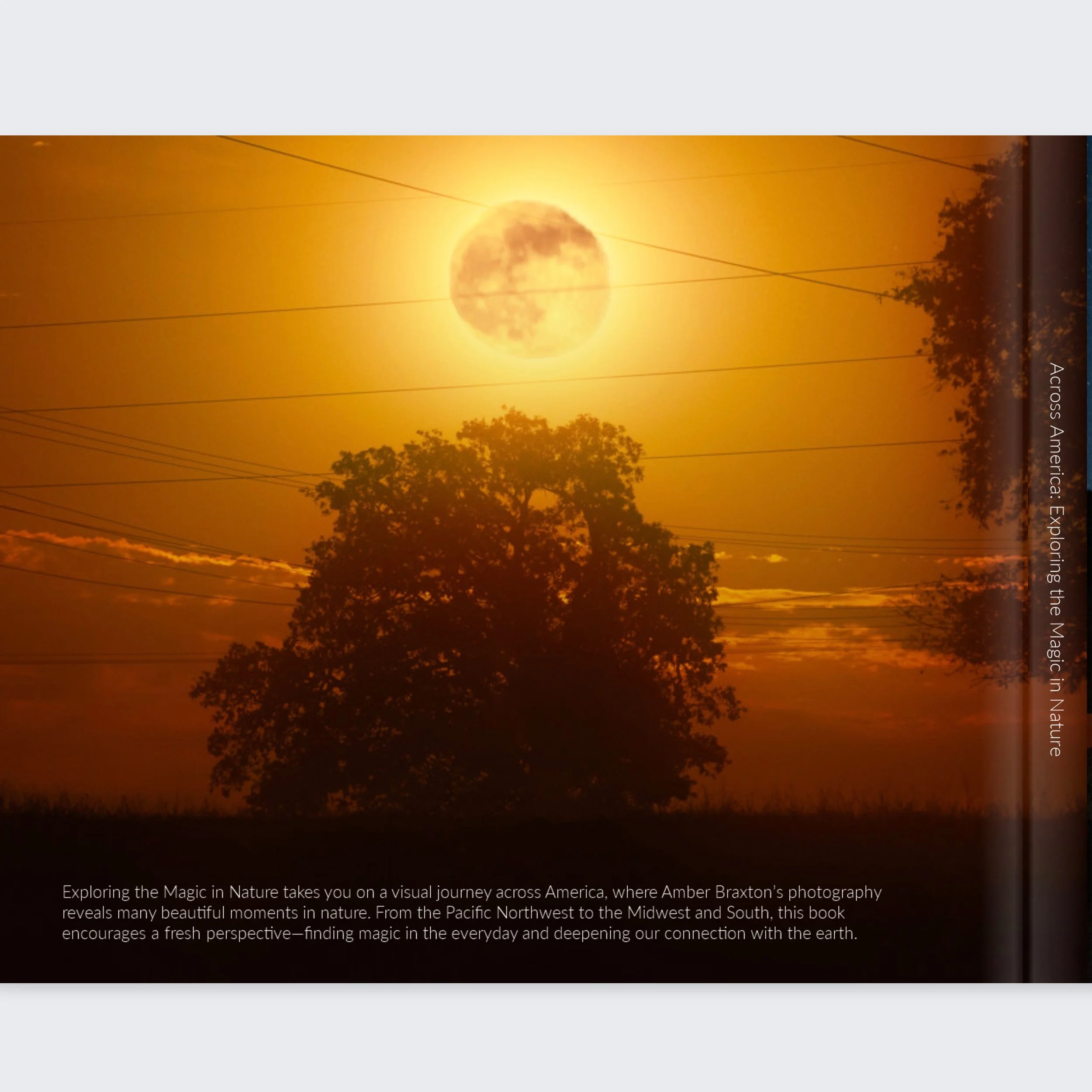 Back cover screen shot.jpg