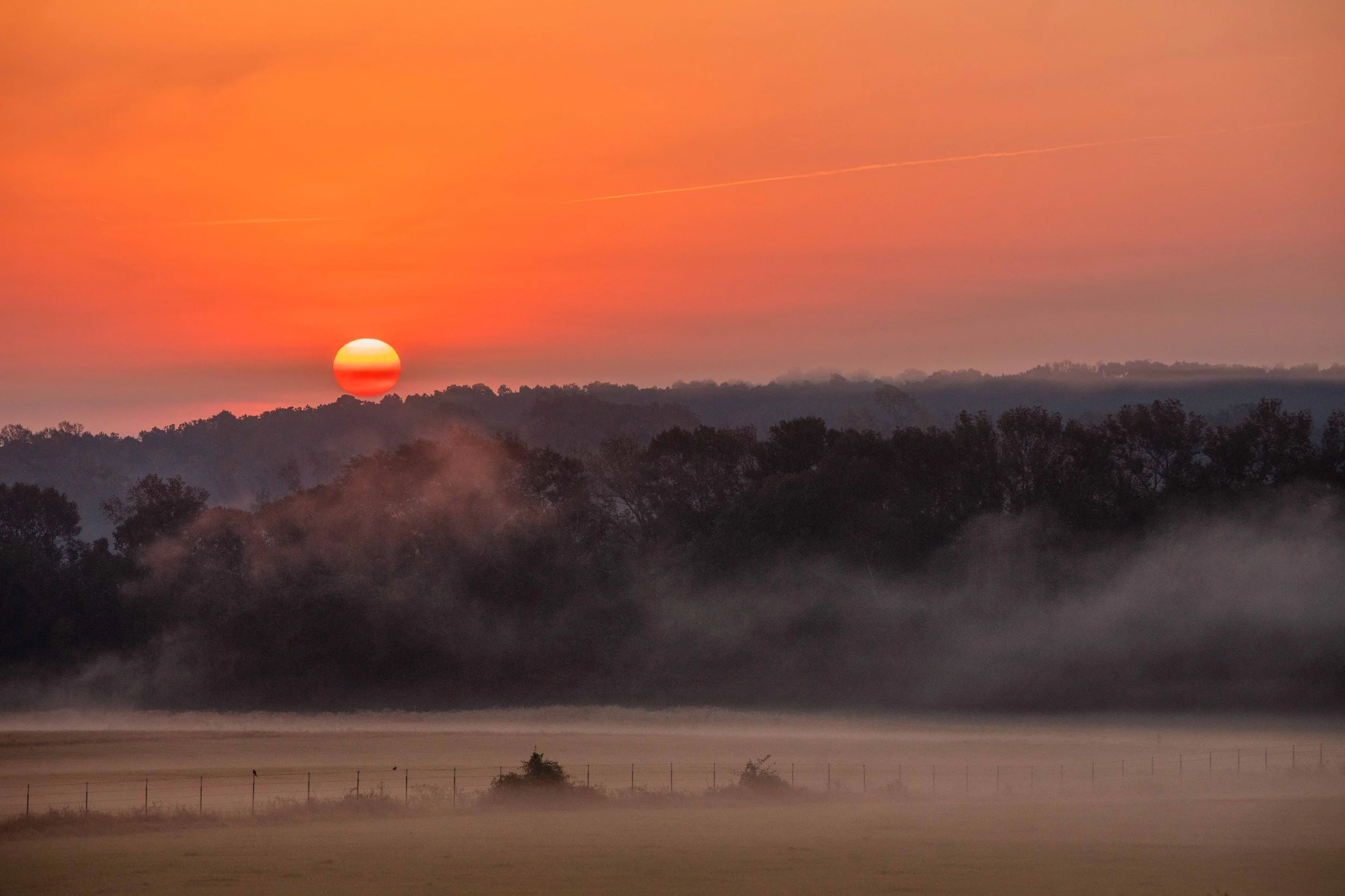 Sunrise in Texas Field websize.jpg