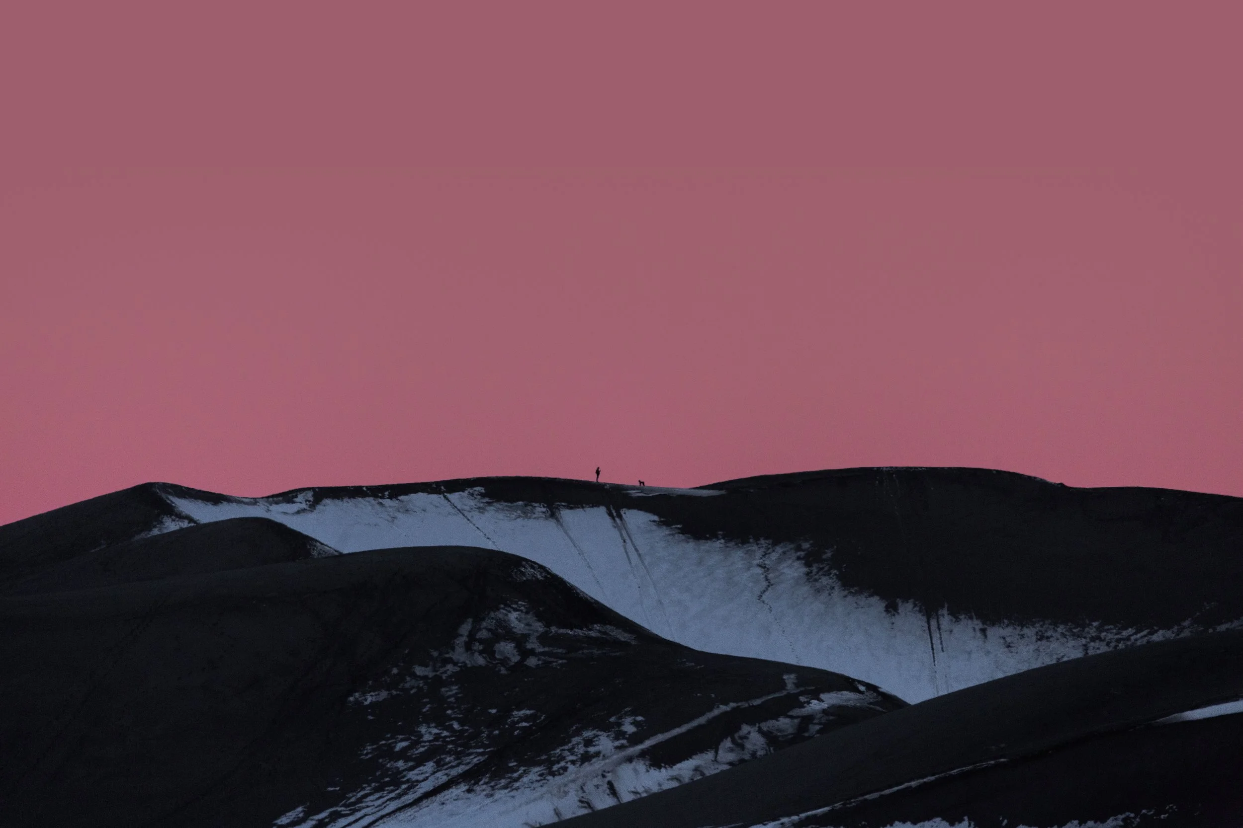 Person and Dog on the Sand Dunes.jpg