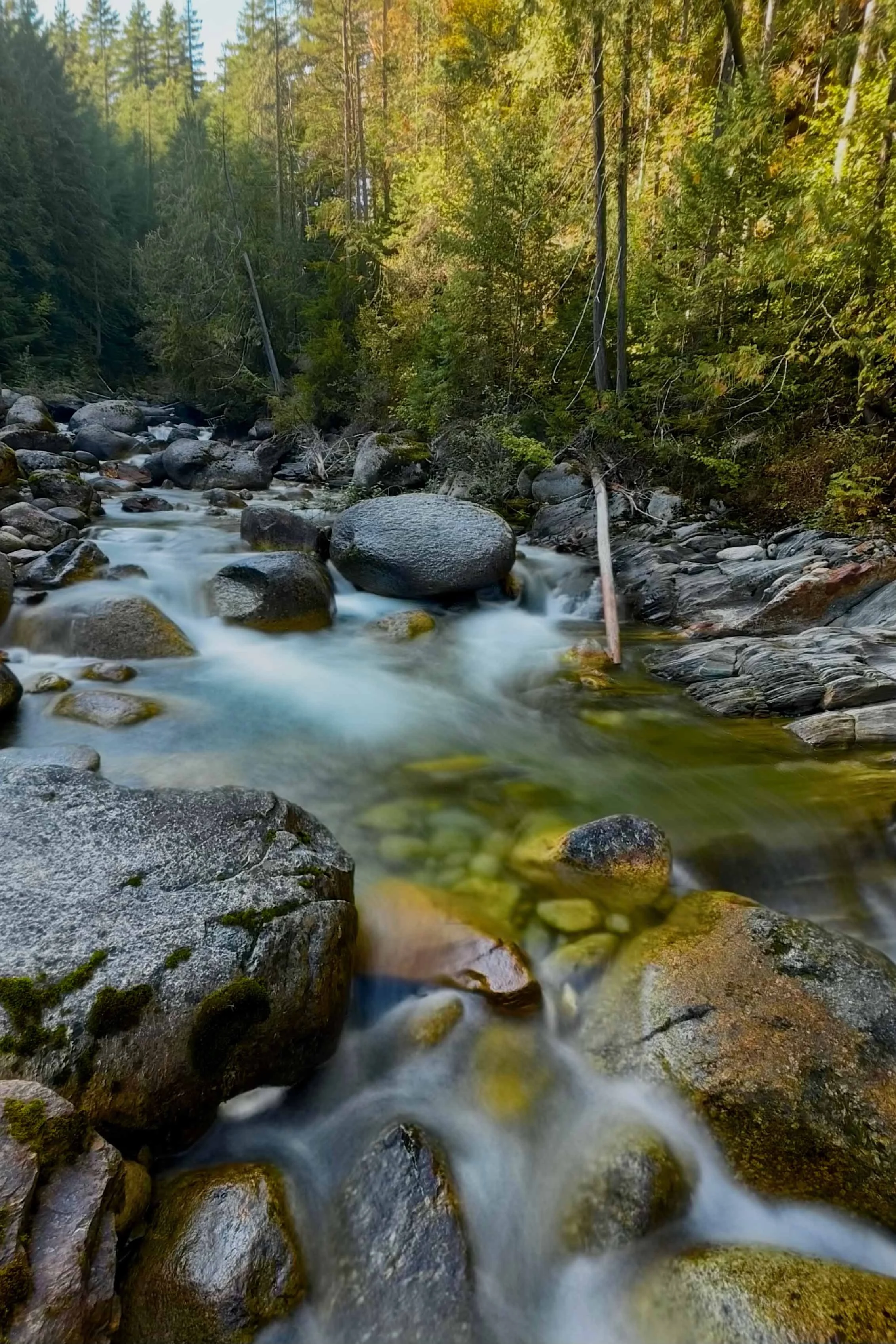 Coffee Creek websize.jpg