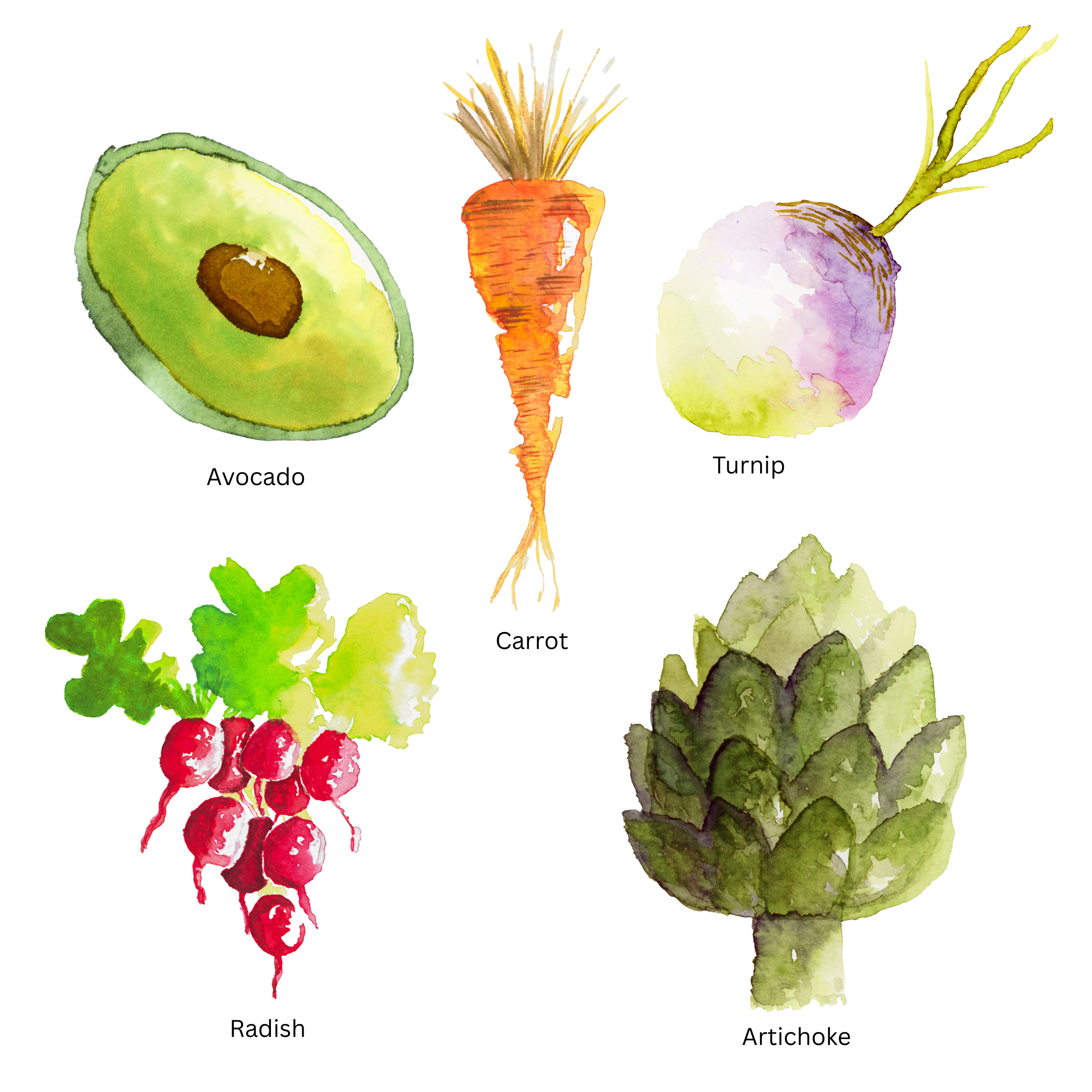 Avocado.png