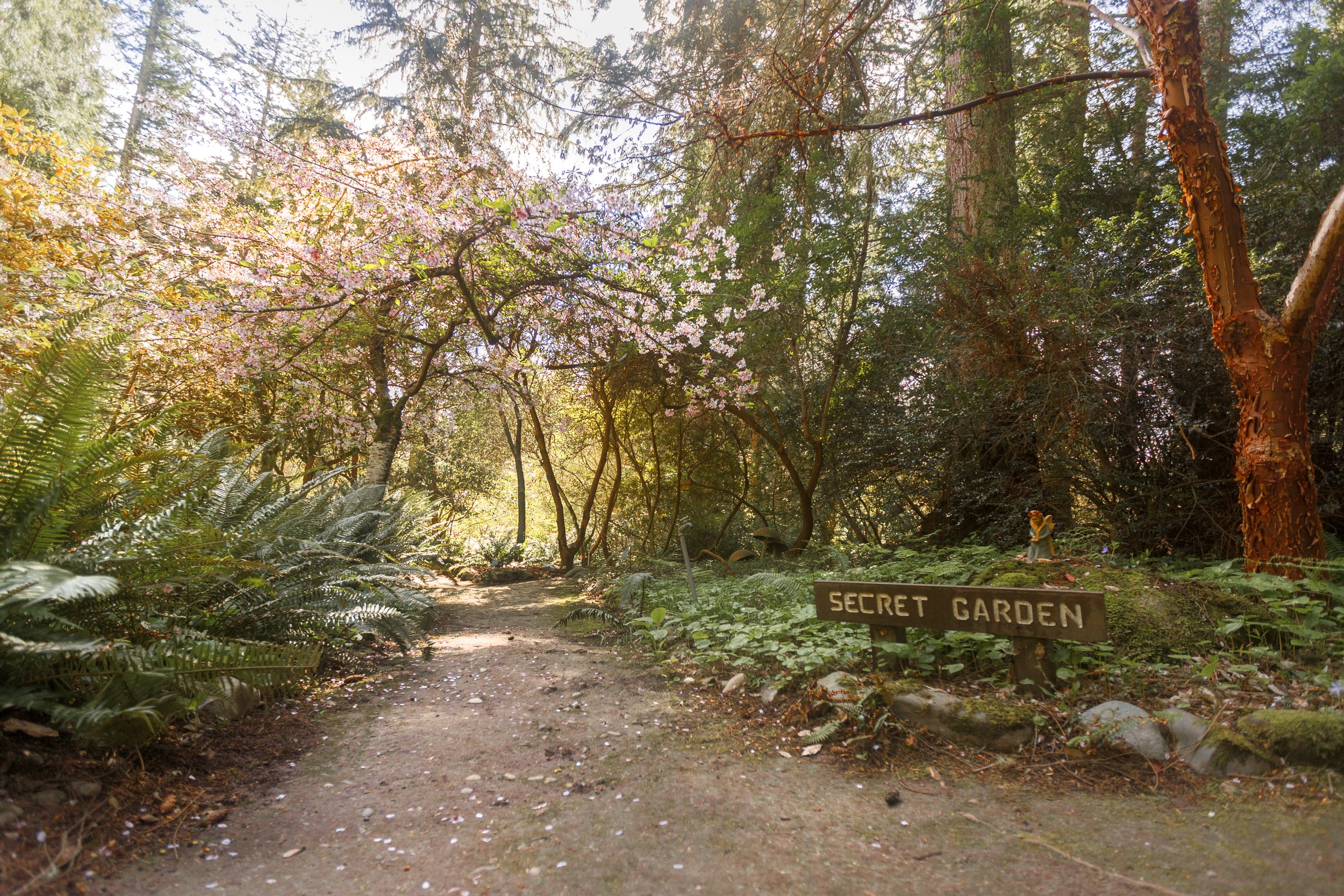 Secret Garden Websize.jpg