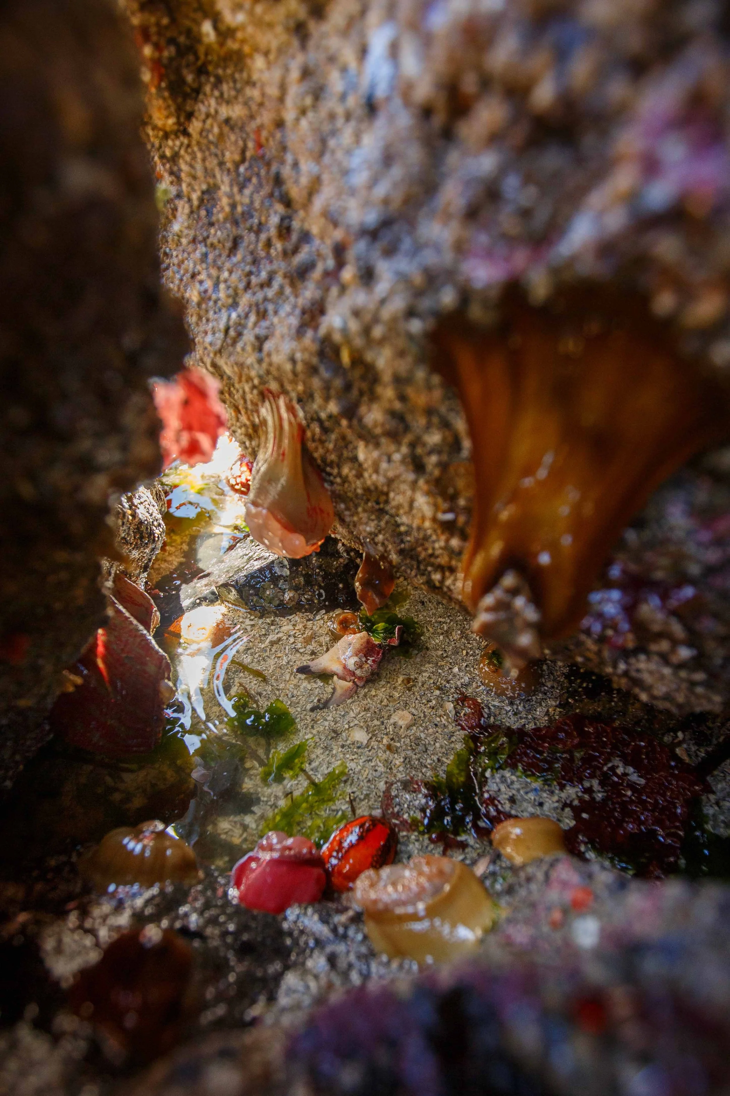 Hidden Treasure Websize.jpg