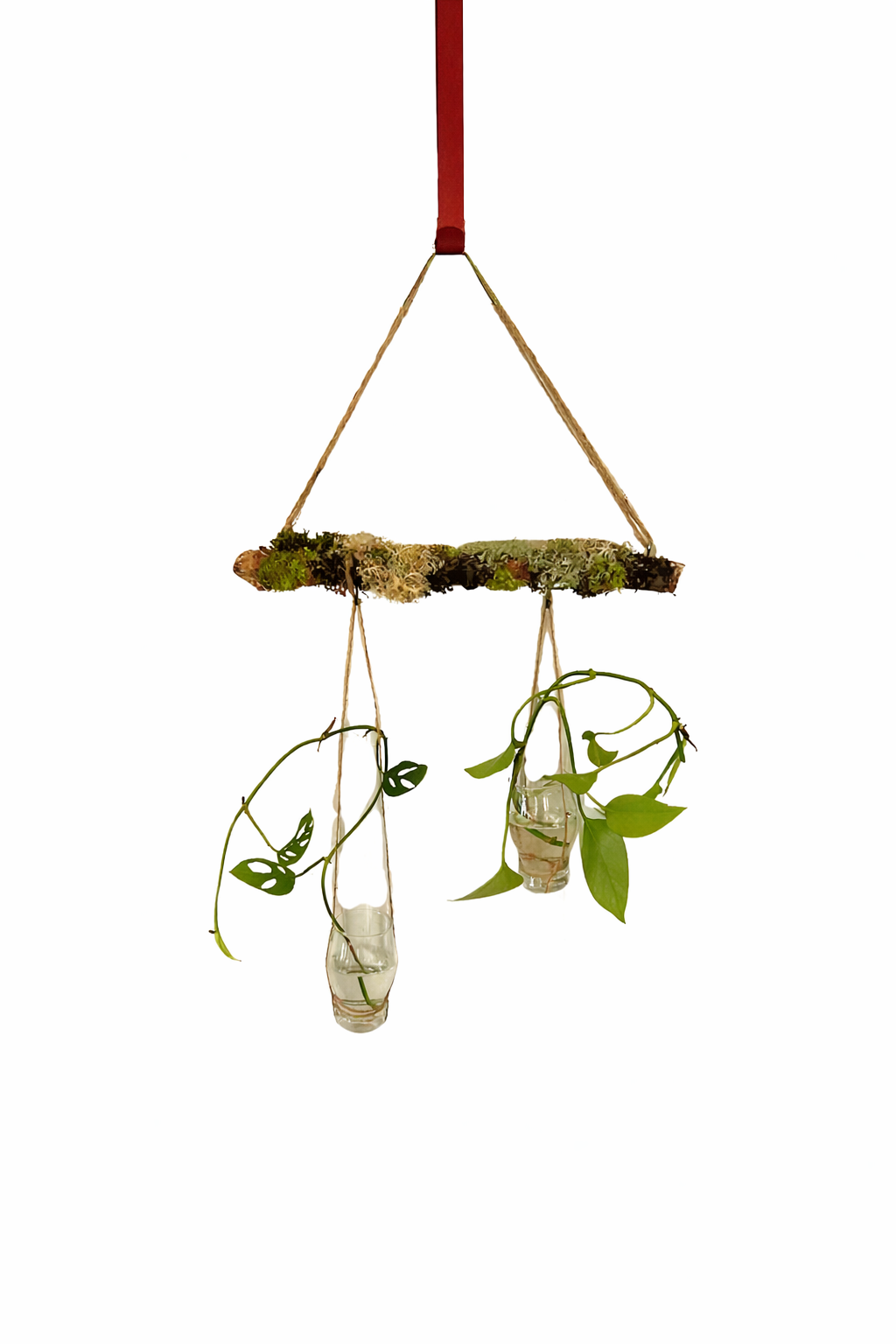 ChatGPT Image Jan 23, 2026, 09_26_51 AM.png