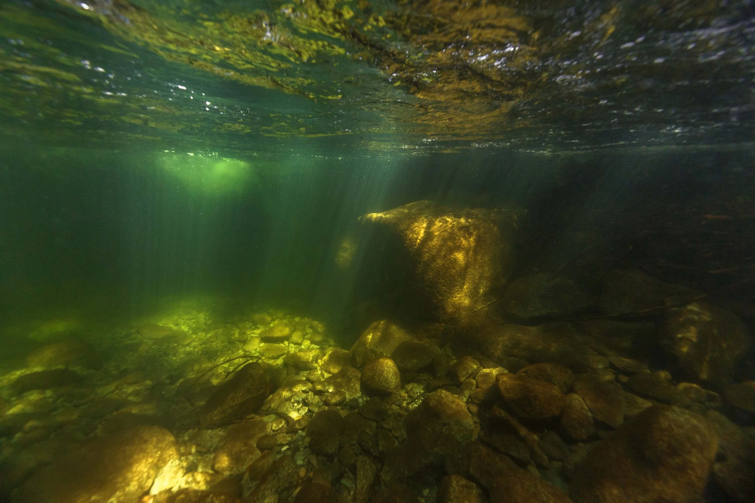 Face in the Rock Websize..jpg