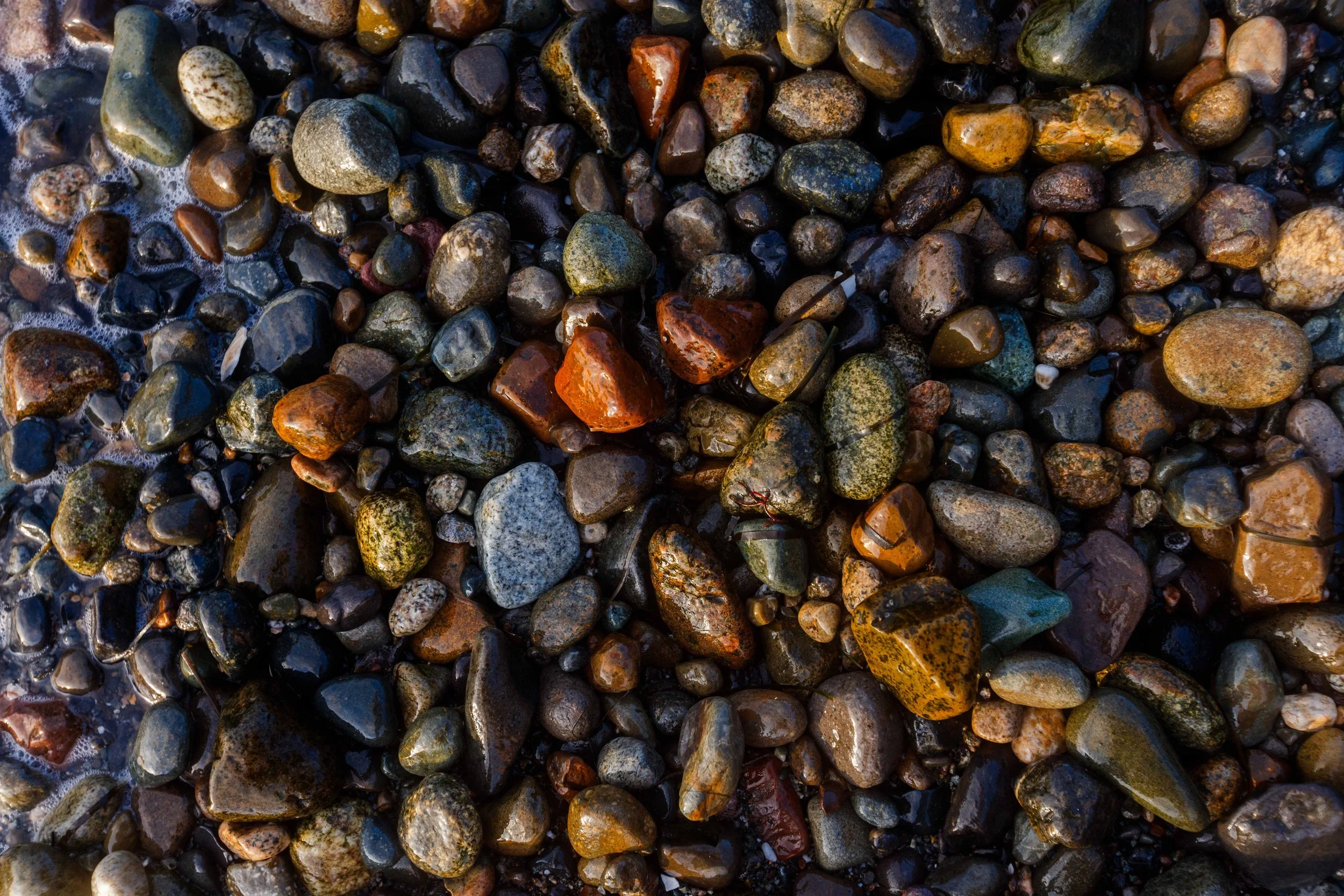 Rocks at Seahurst websize.jpg