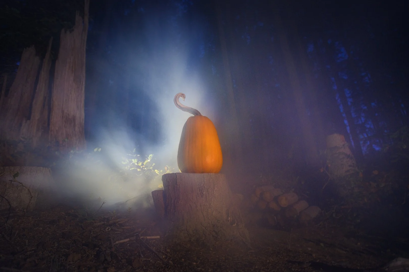 Whimsical Pumpkin.jpg