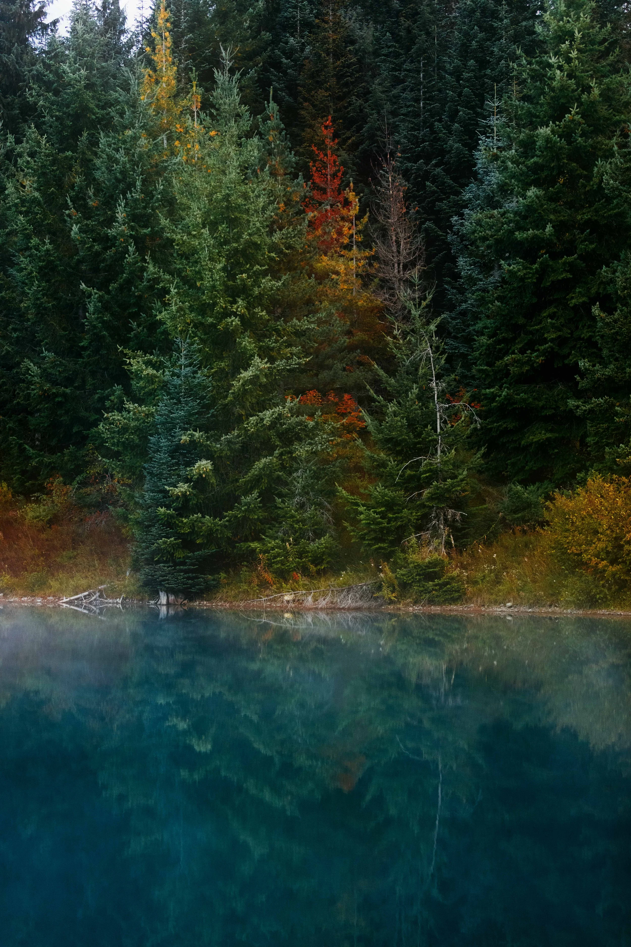 Autumn Colors at Gold Creek Pond websize.jpg