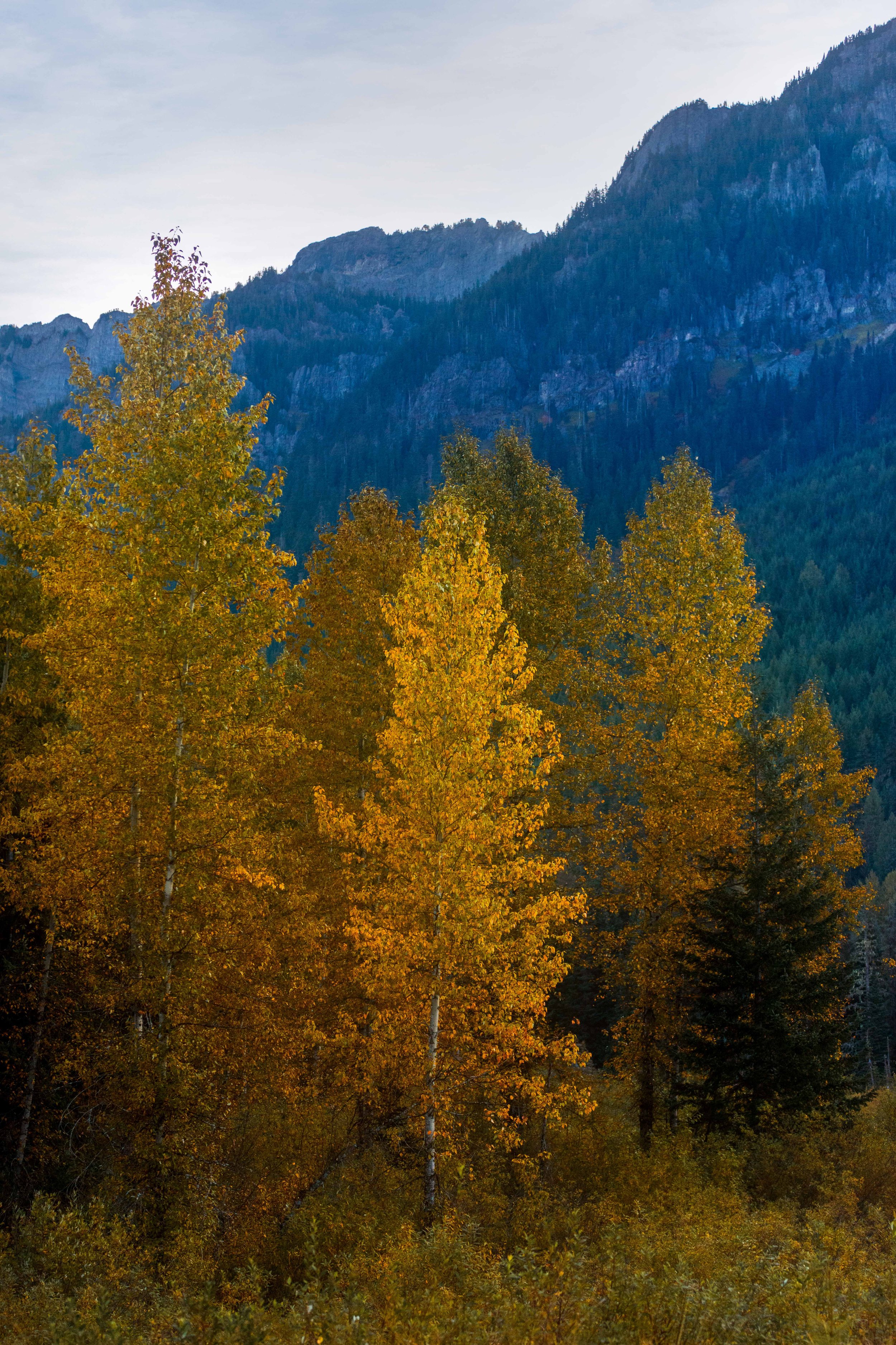Fall on Snoqualmie Pass websize.jpg