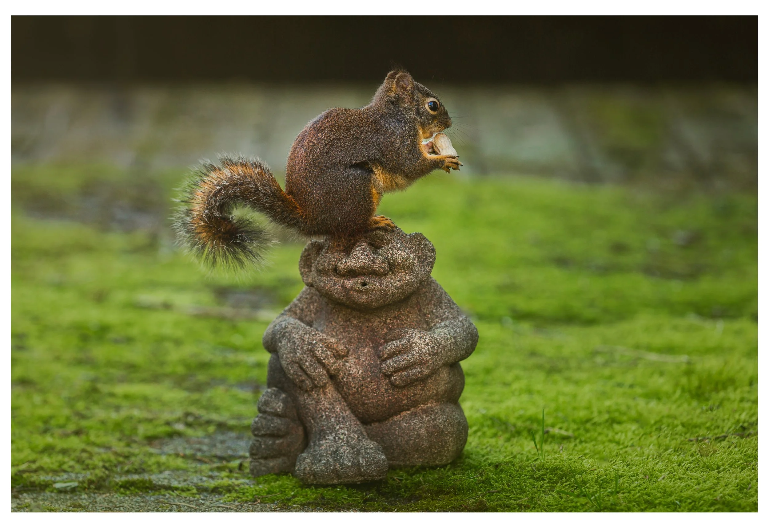 Doug on a Garden Troll.jpg