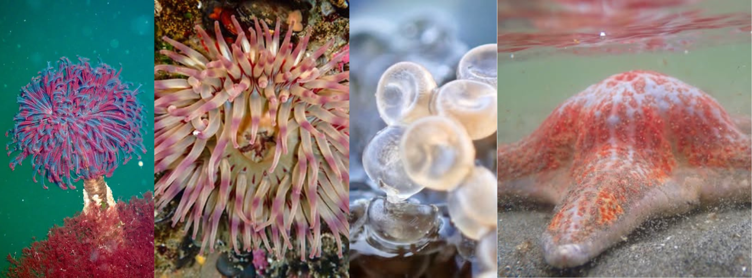 Untitled design (90).png