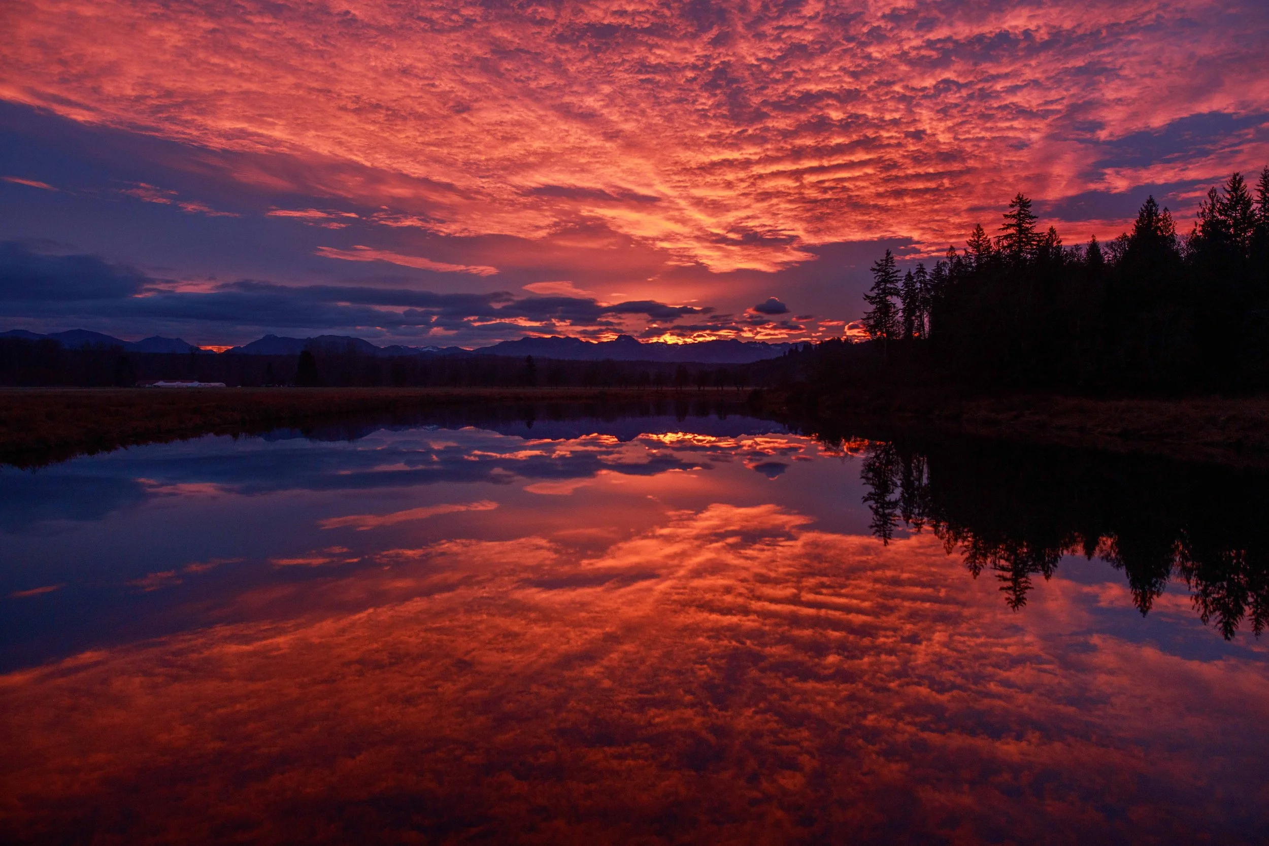 Red Sky on Sikes Lake websize.jpg