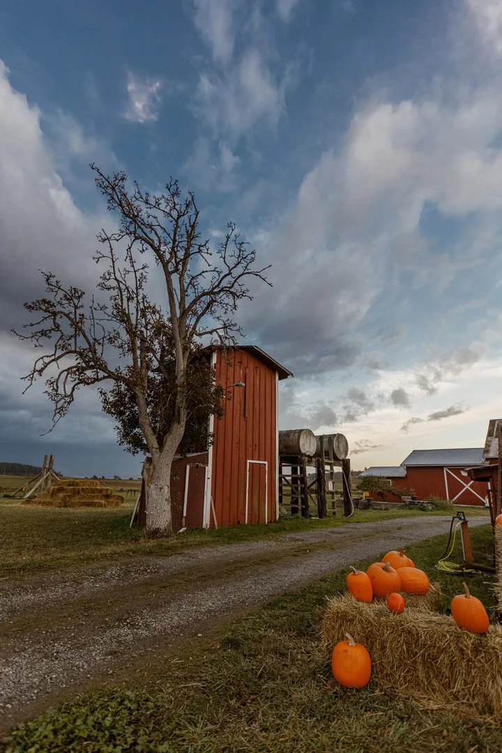 Scenic Isle Farm in October.jpg