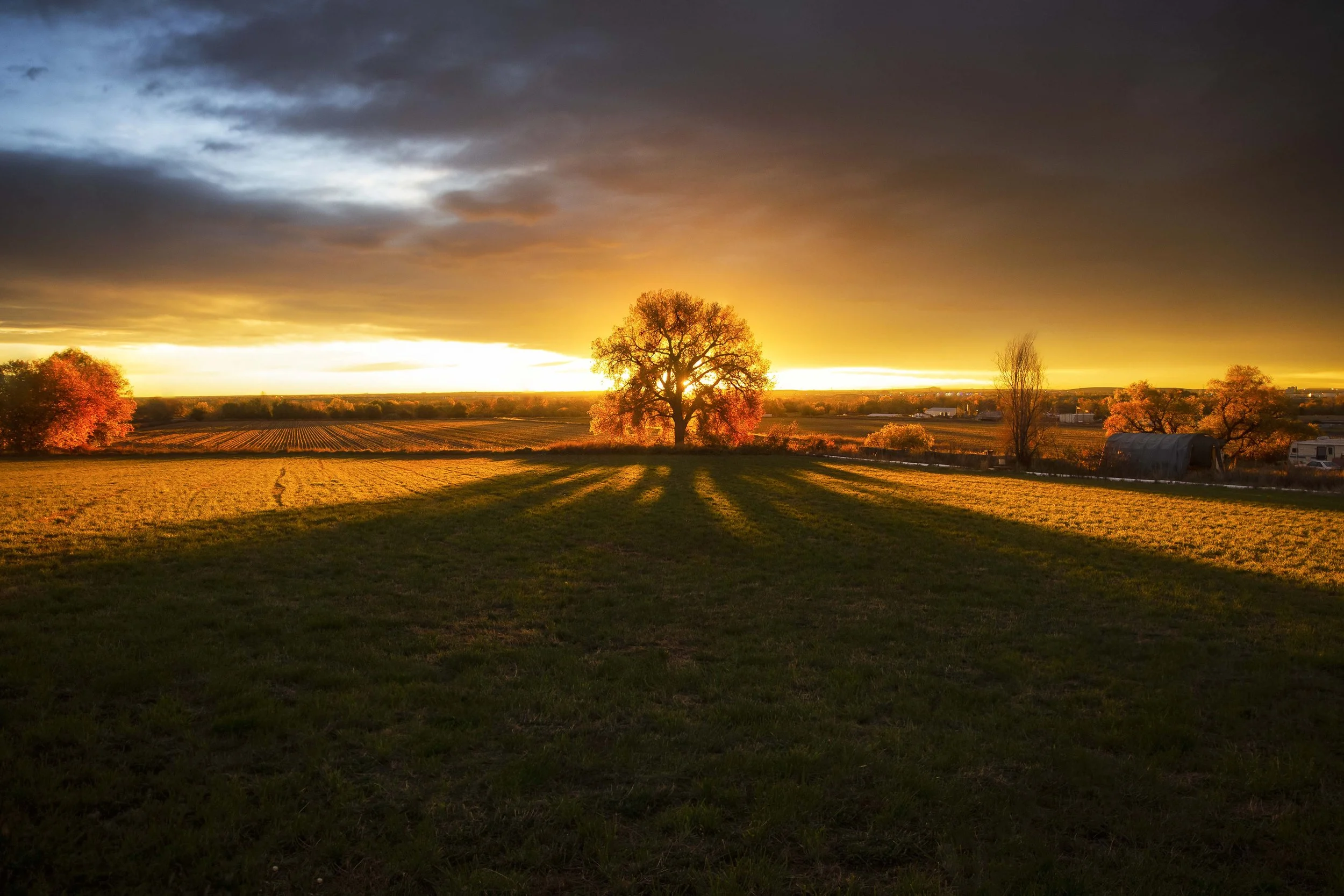 Sunny Morning On Riverdale Web Size.jpg