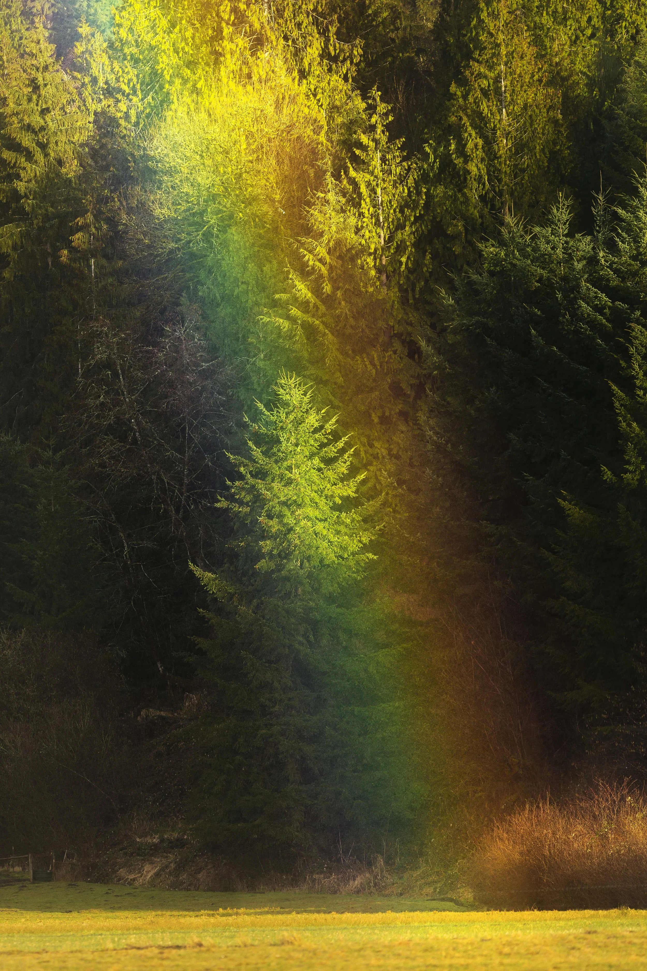 End of the Rainbow Web Size.jpg