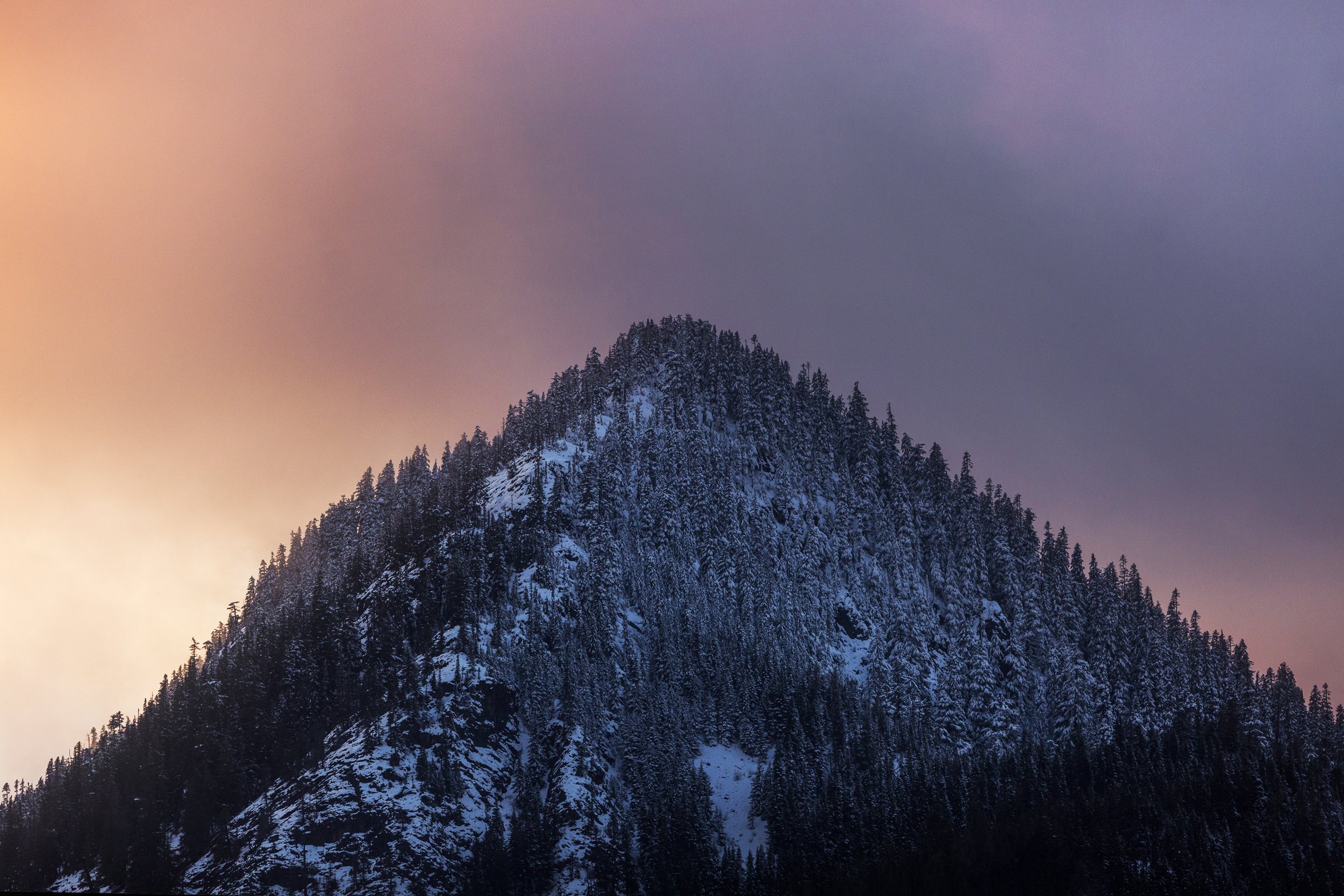 Snow Capped in Snoqualmie.jpg