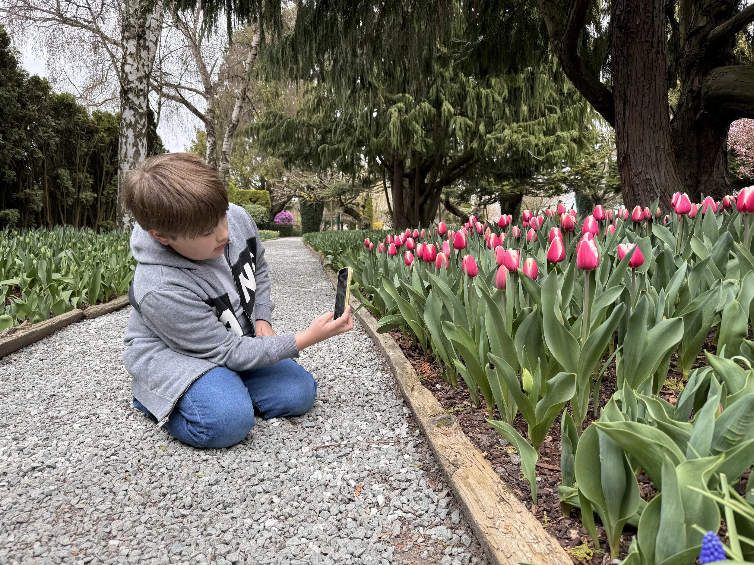 Nature Observation and Photography Walk (For Kids)