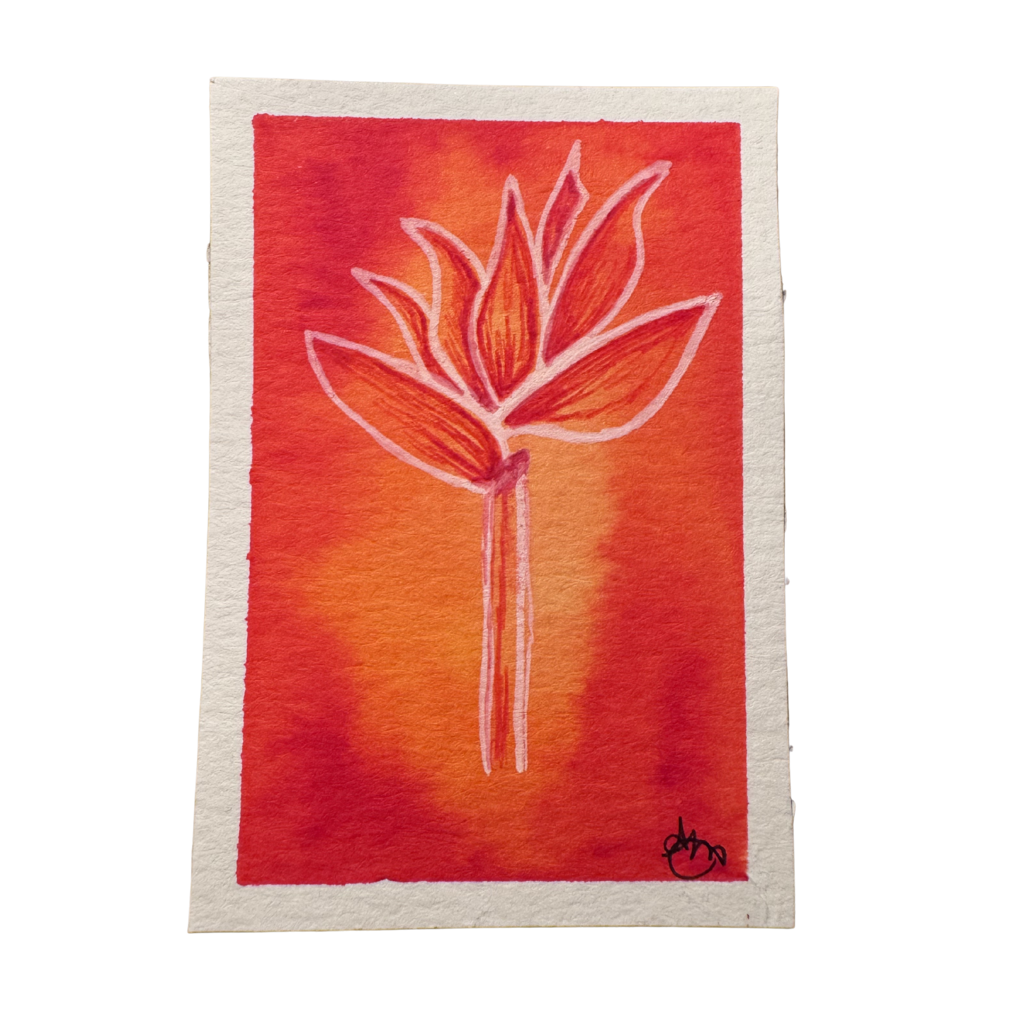 Miniature Floral ACEO Collection — Amber Braxton Fine Art