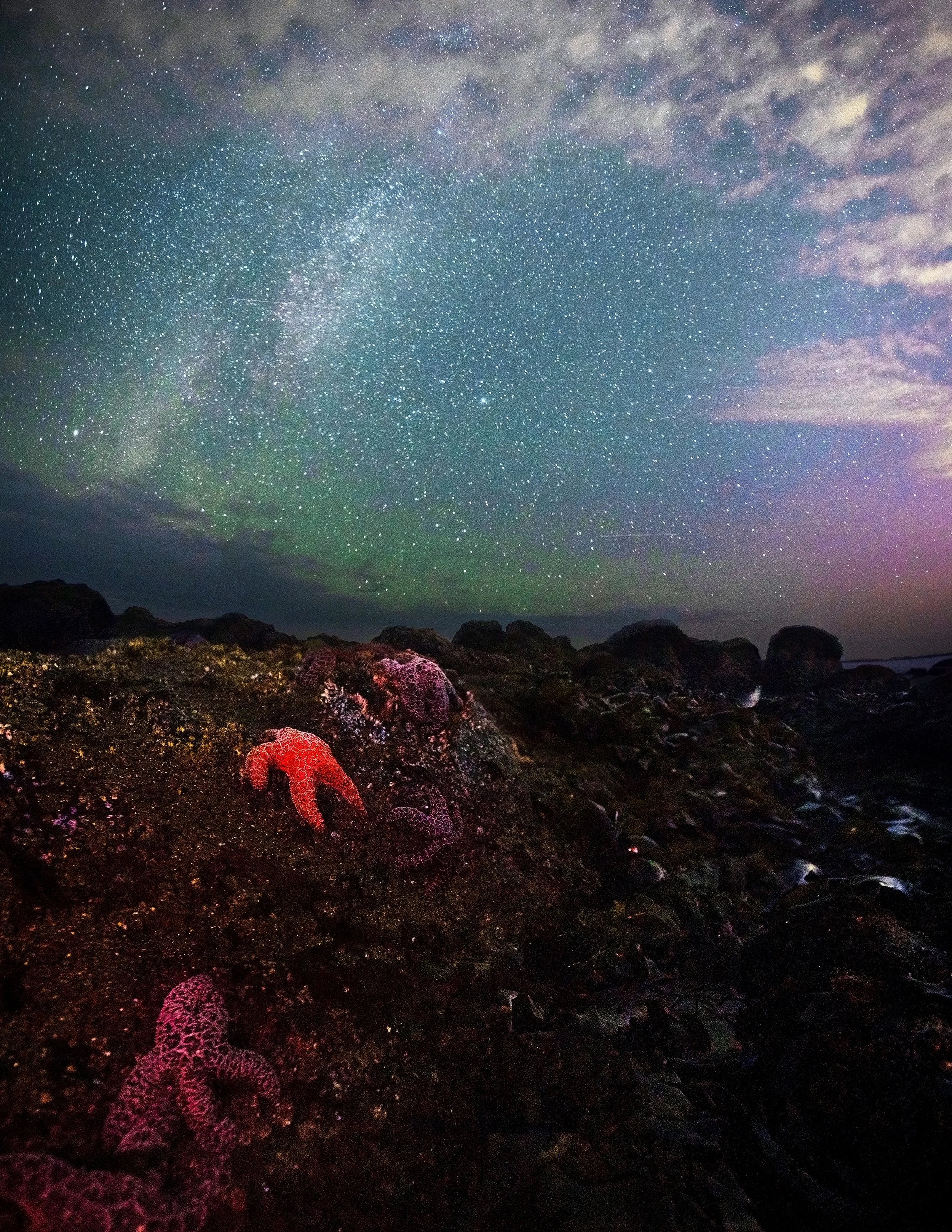 The Stars of Depoe Bay.jpg