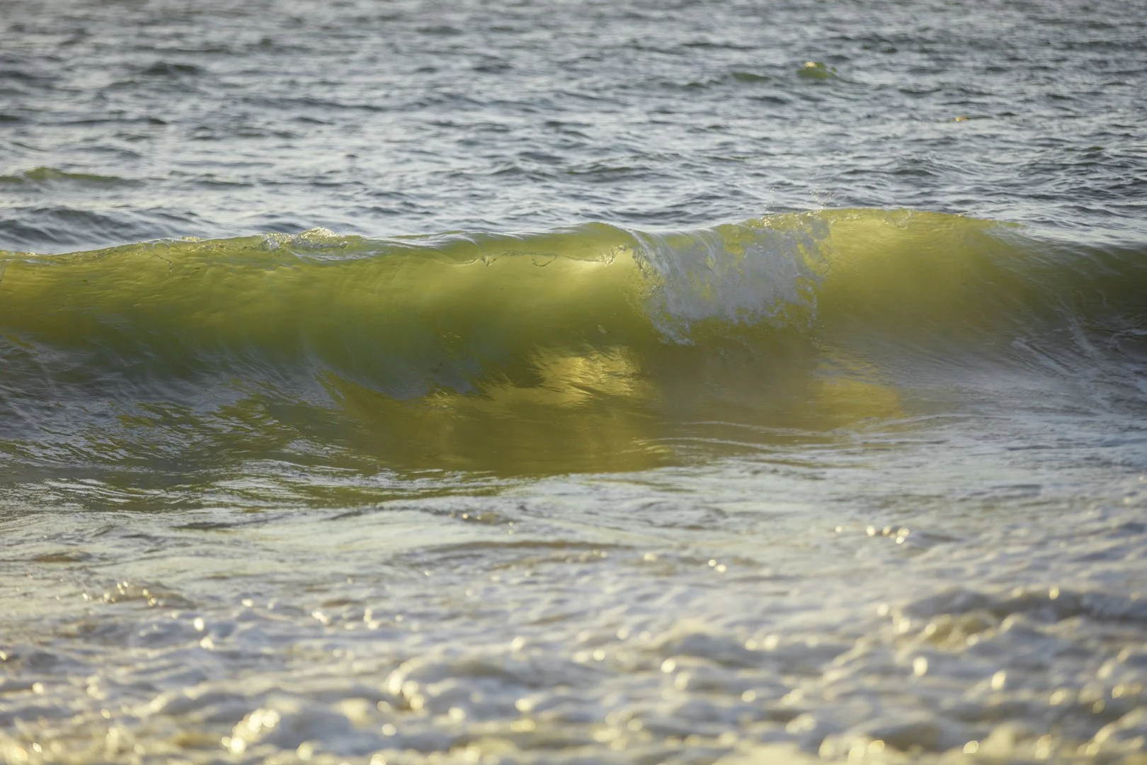 Illuminated Wave.jpg