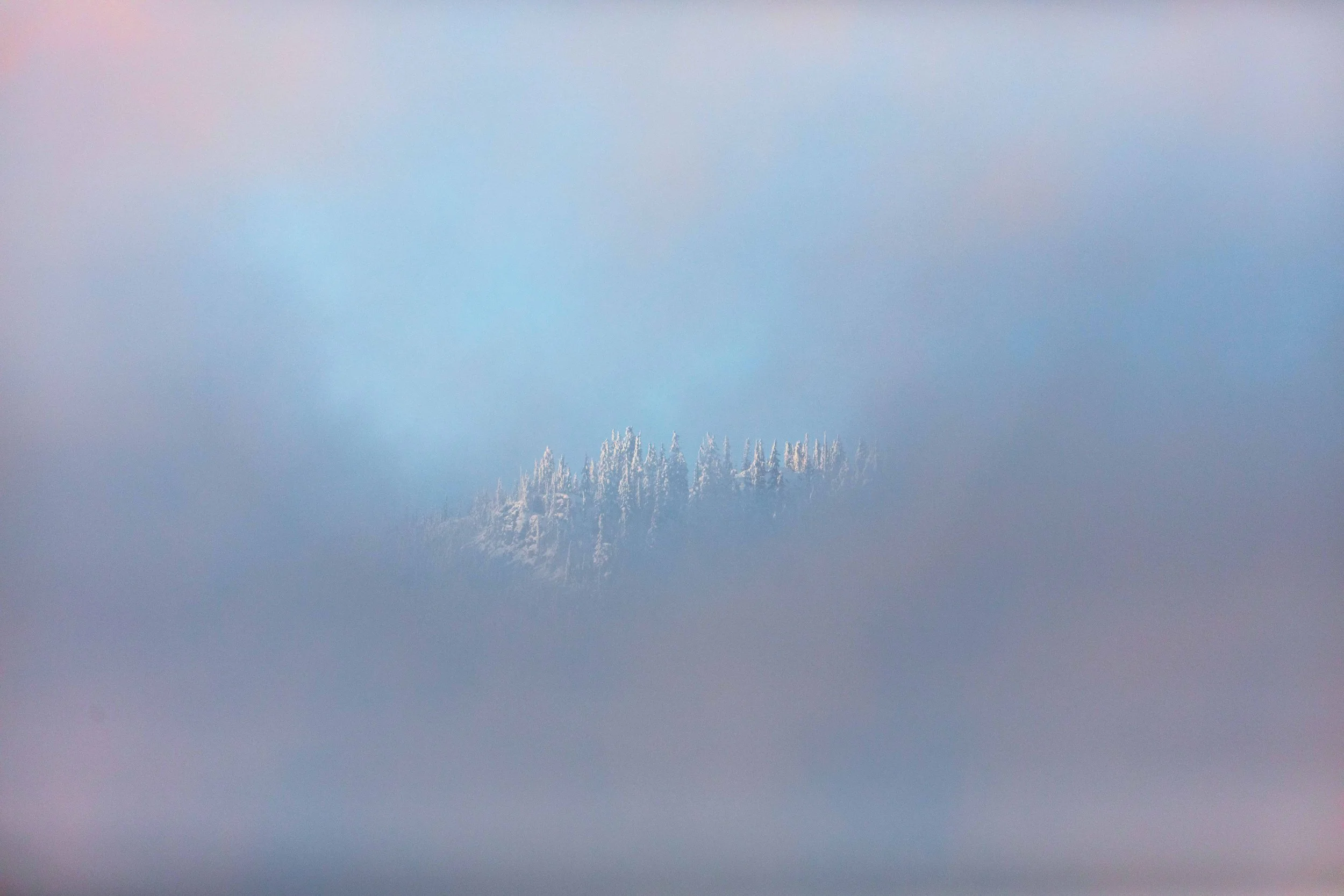 Trees Poking Out of Clouds Websize.jpg