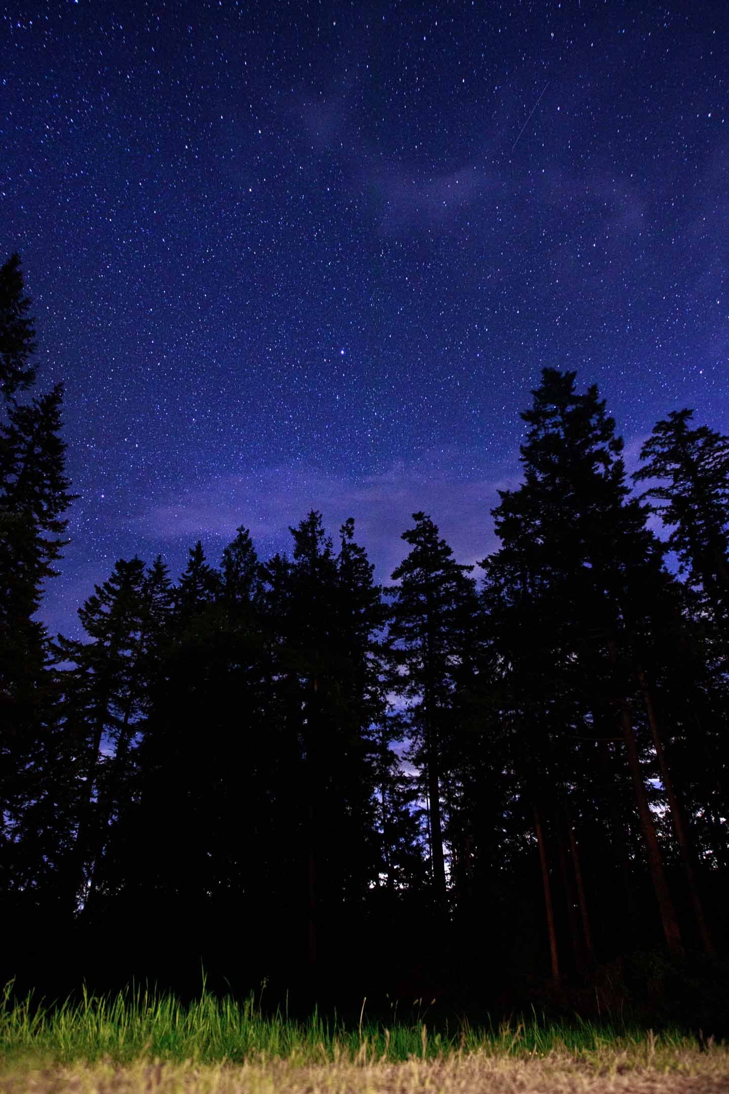 Backyard Night Sky.jpg
