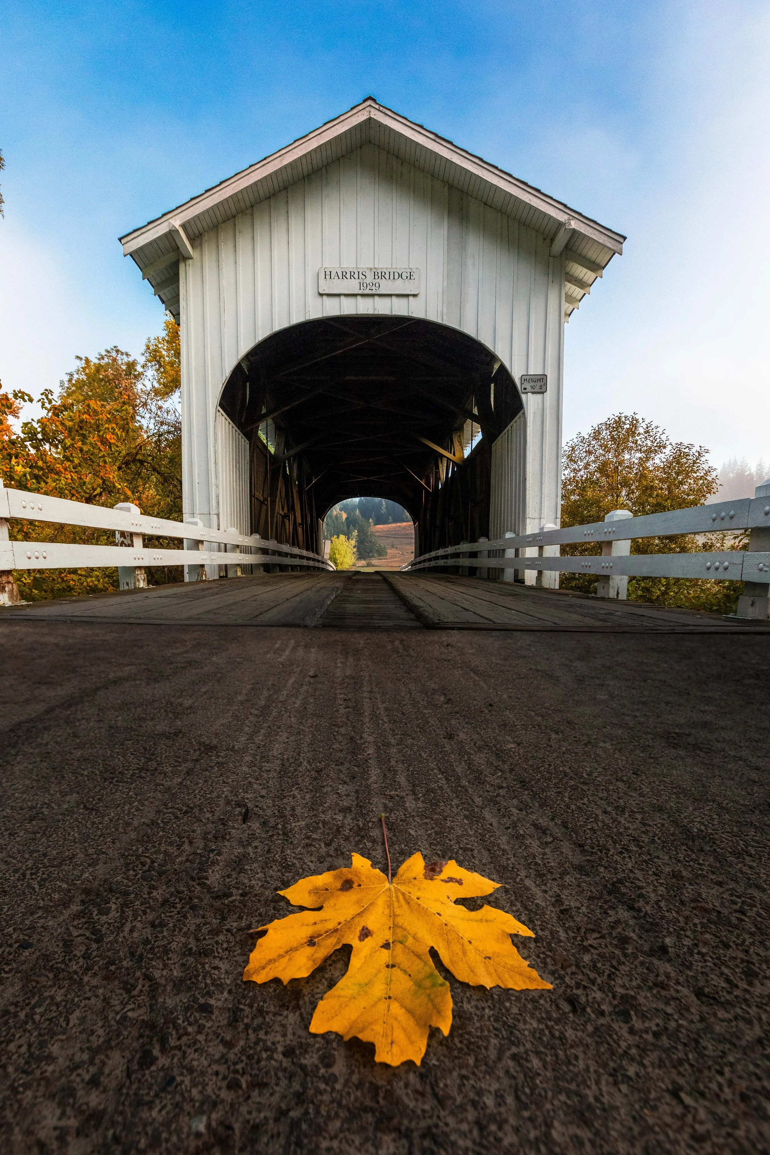 Harris Bridge in the Fall Web Size.jpg