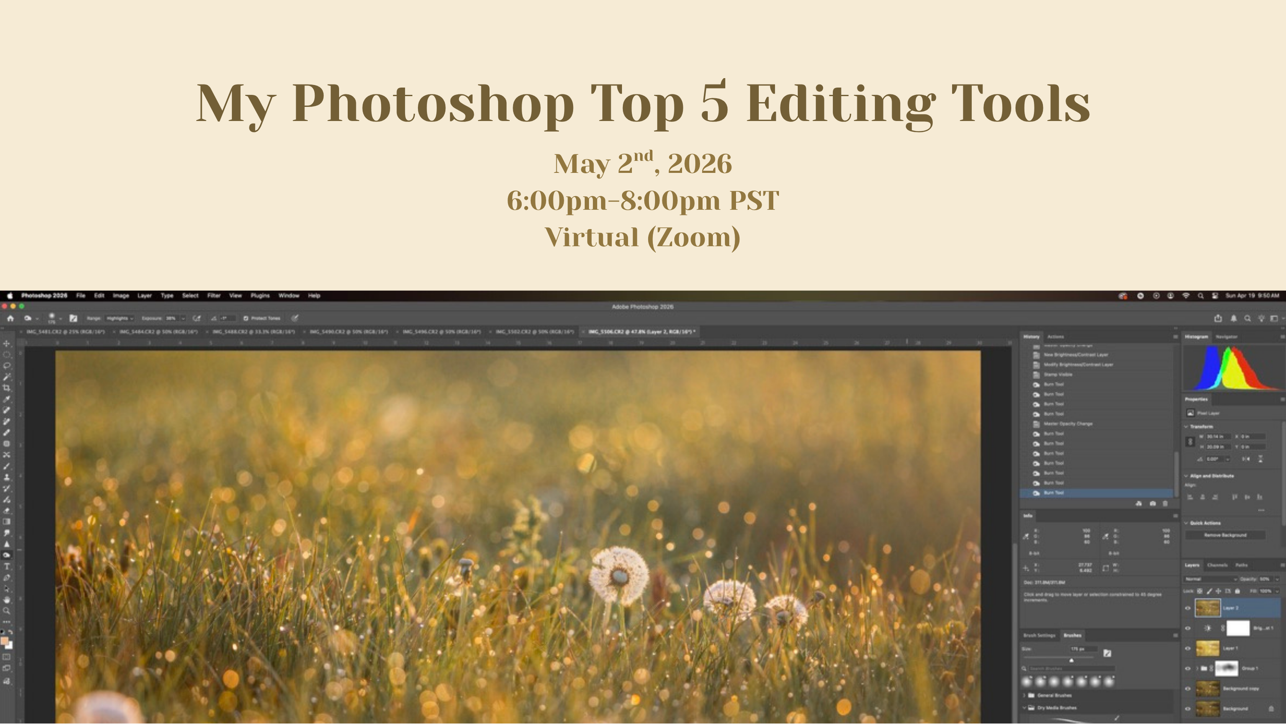 My Top 5 Photoshop Tools - Virtual Class