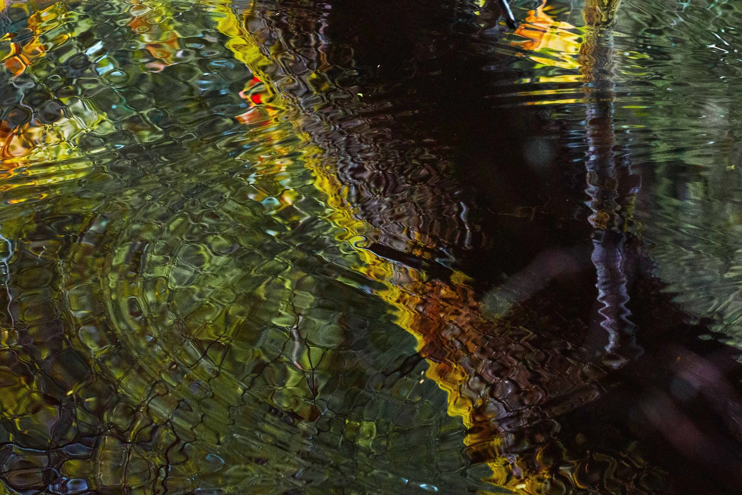 Reflections on a pond websize.jpg