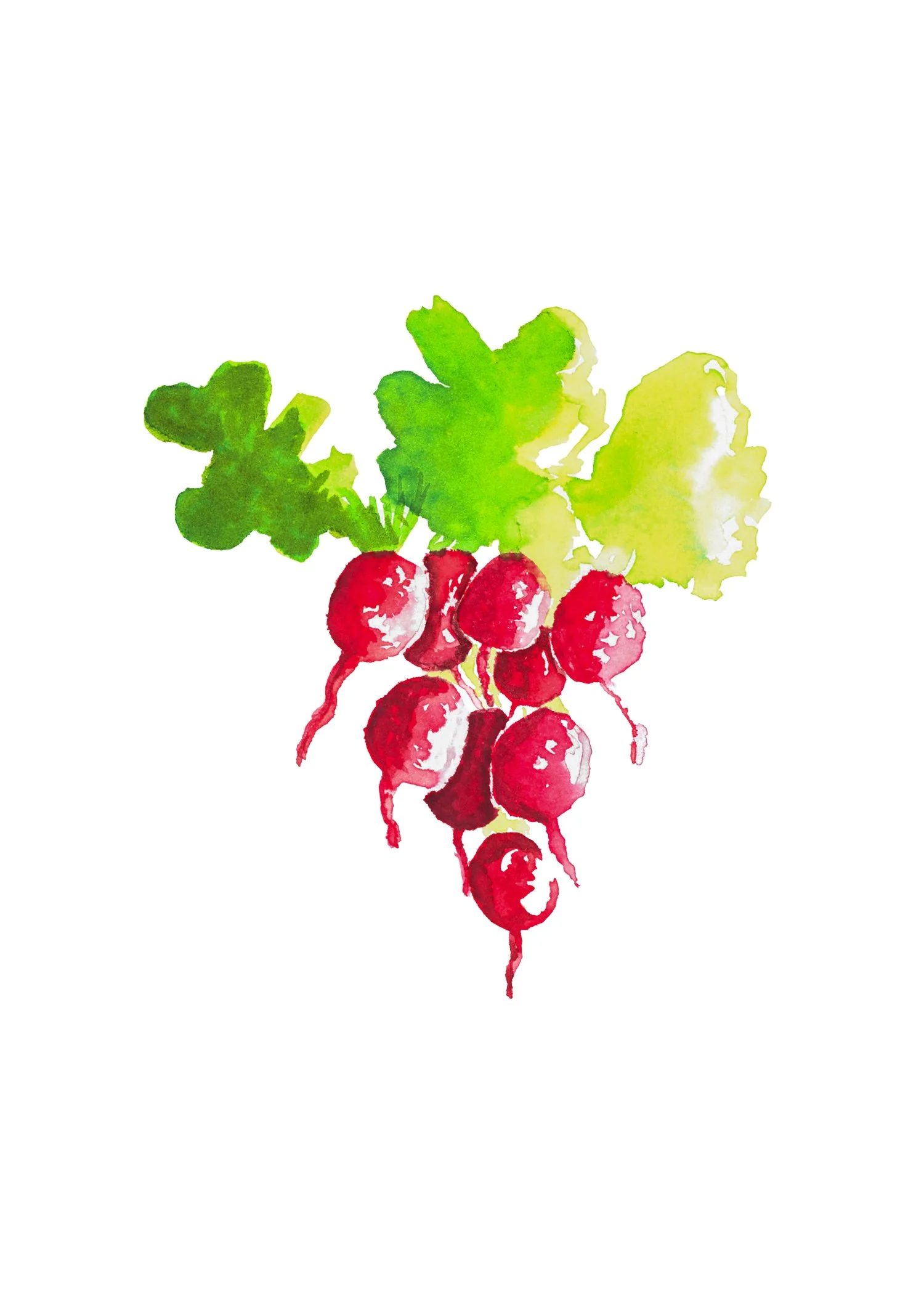 Watercolor Radishes Print.jpg