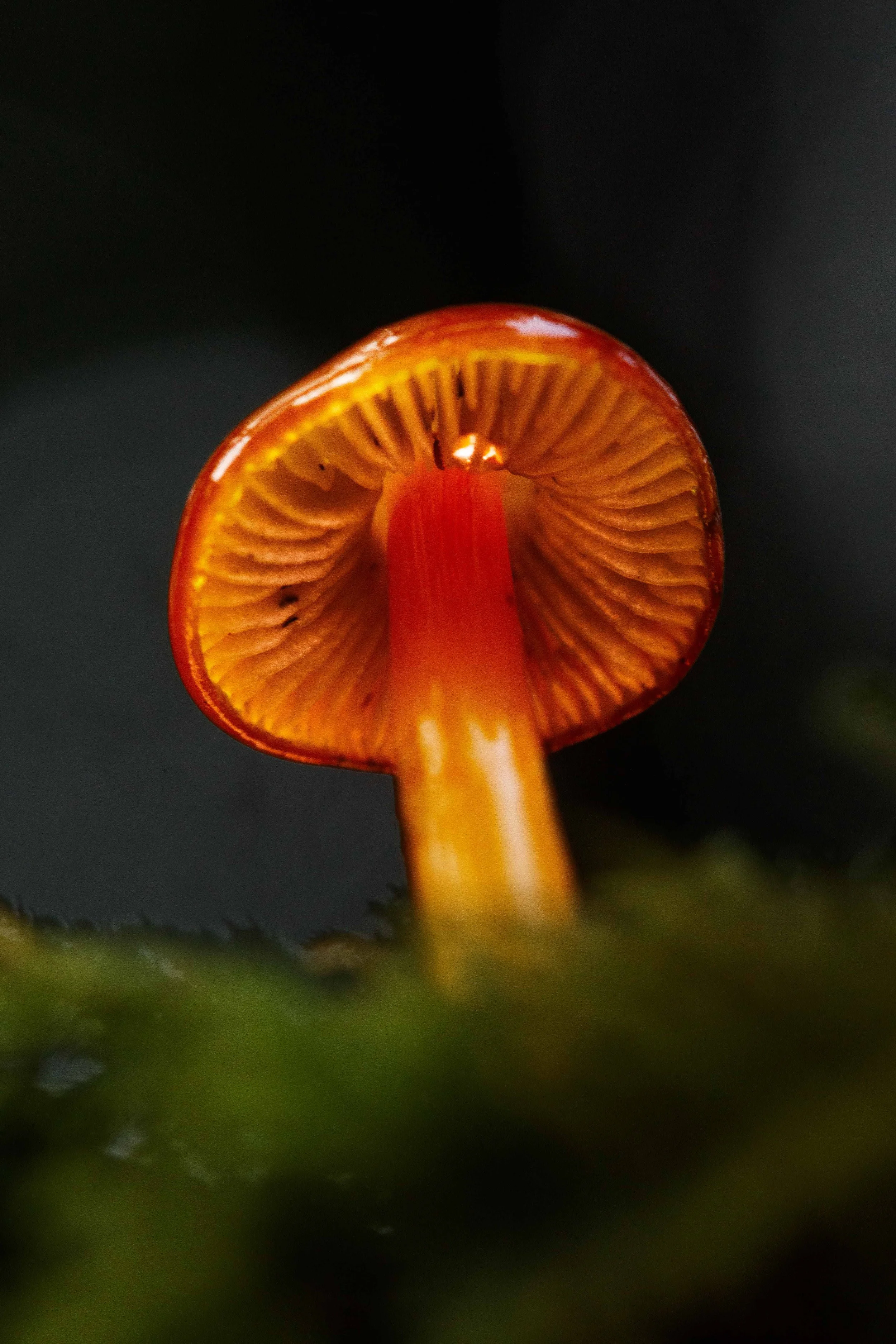 Underneath the Cap and Glowing websize.jpg