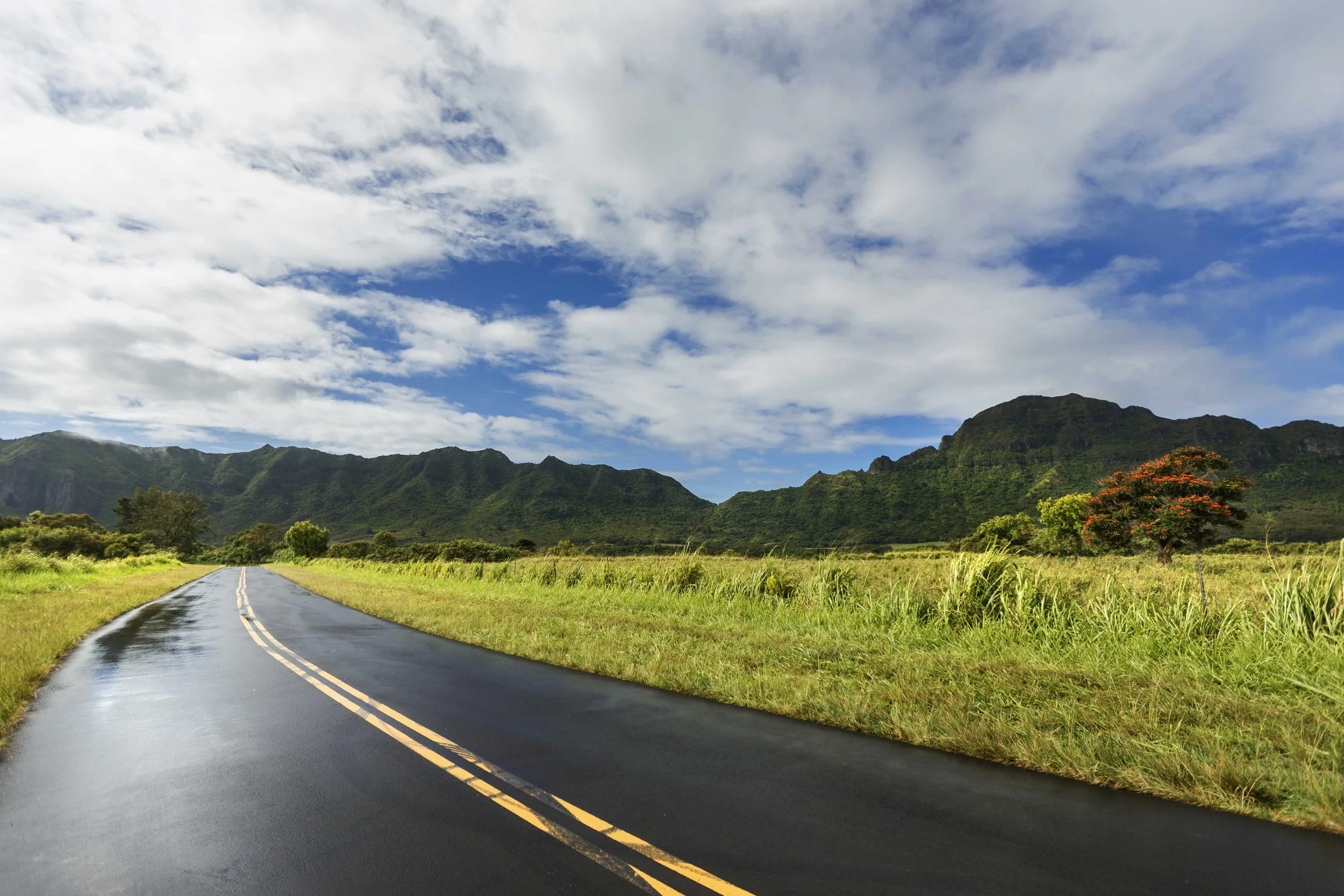 Back Road Views Websize.jpg