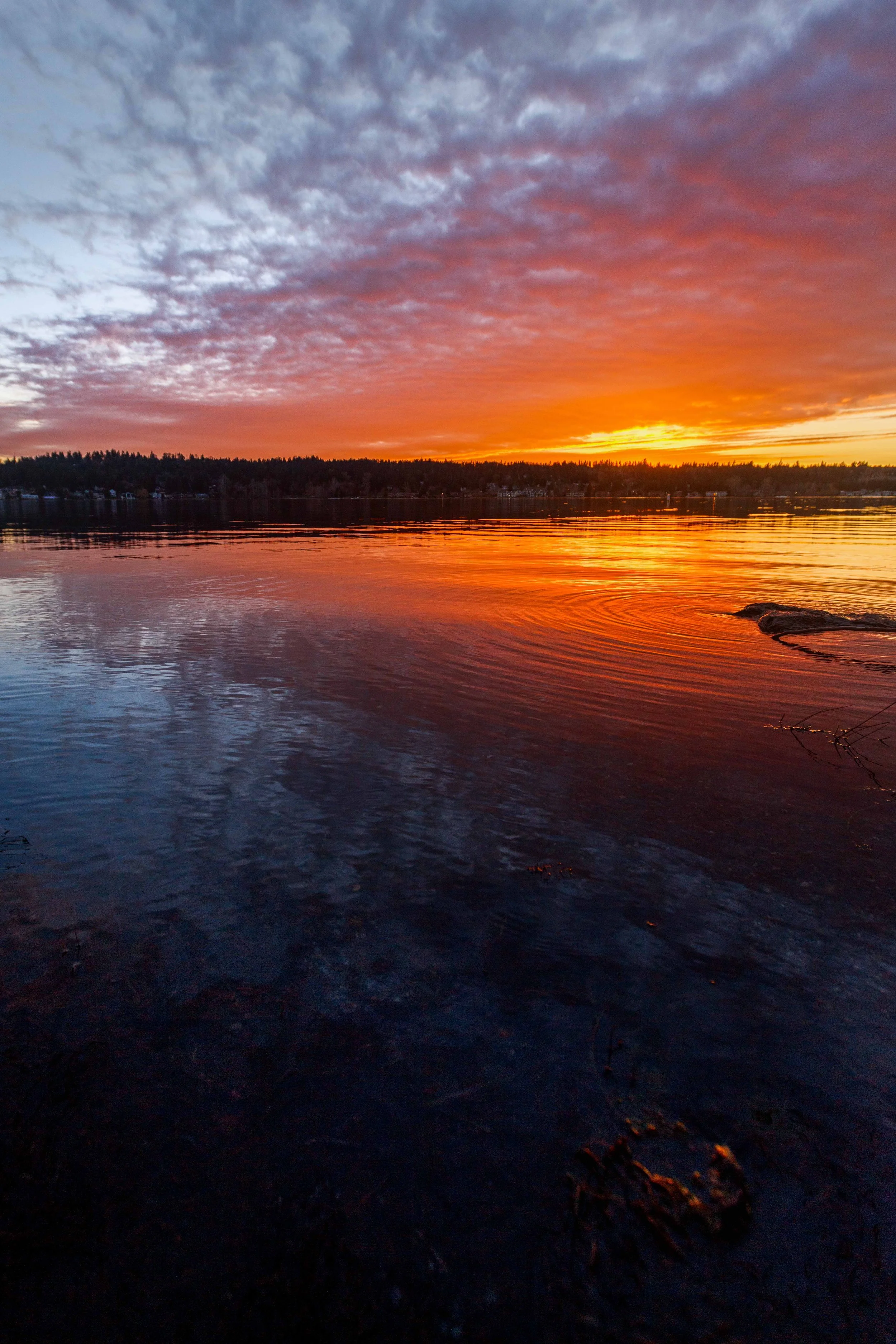 Sunset on Lake Sammammish websize.jpg