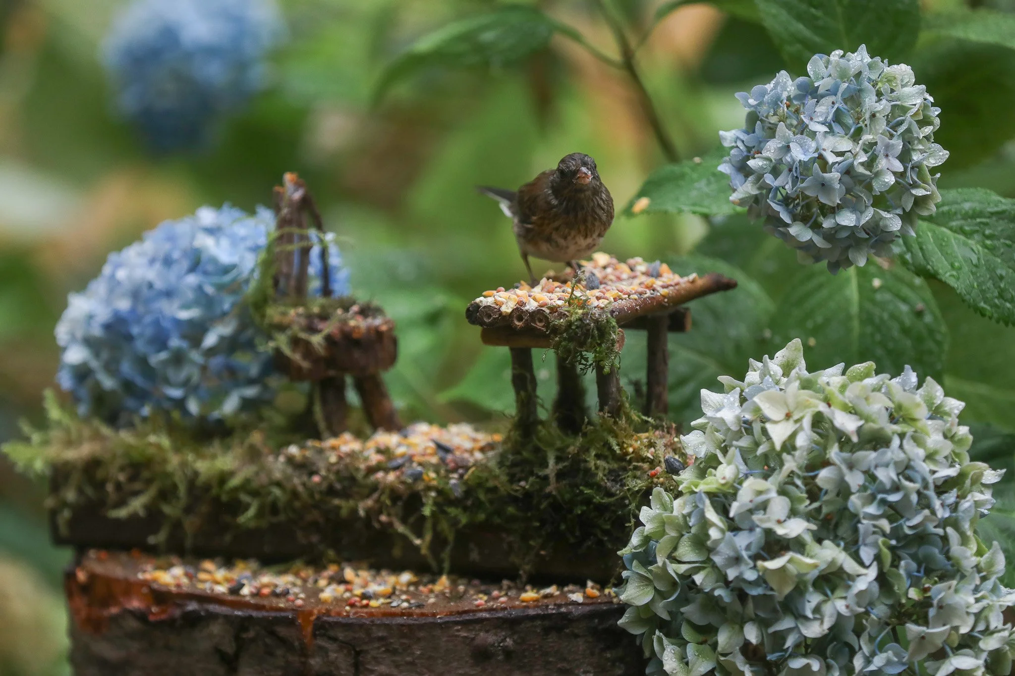 Eating on the Table-2.jpg