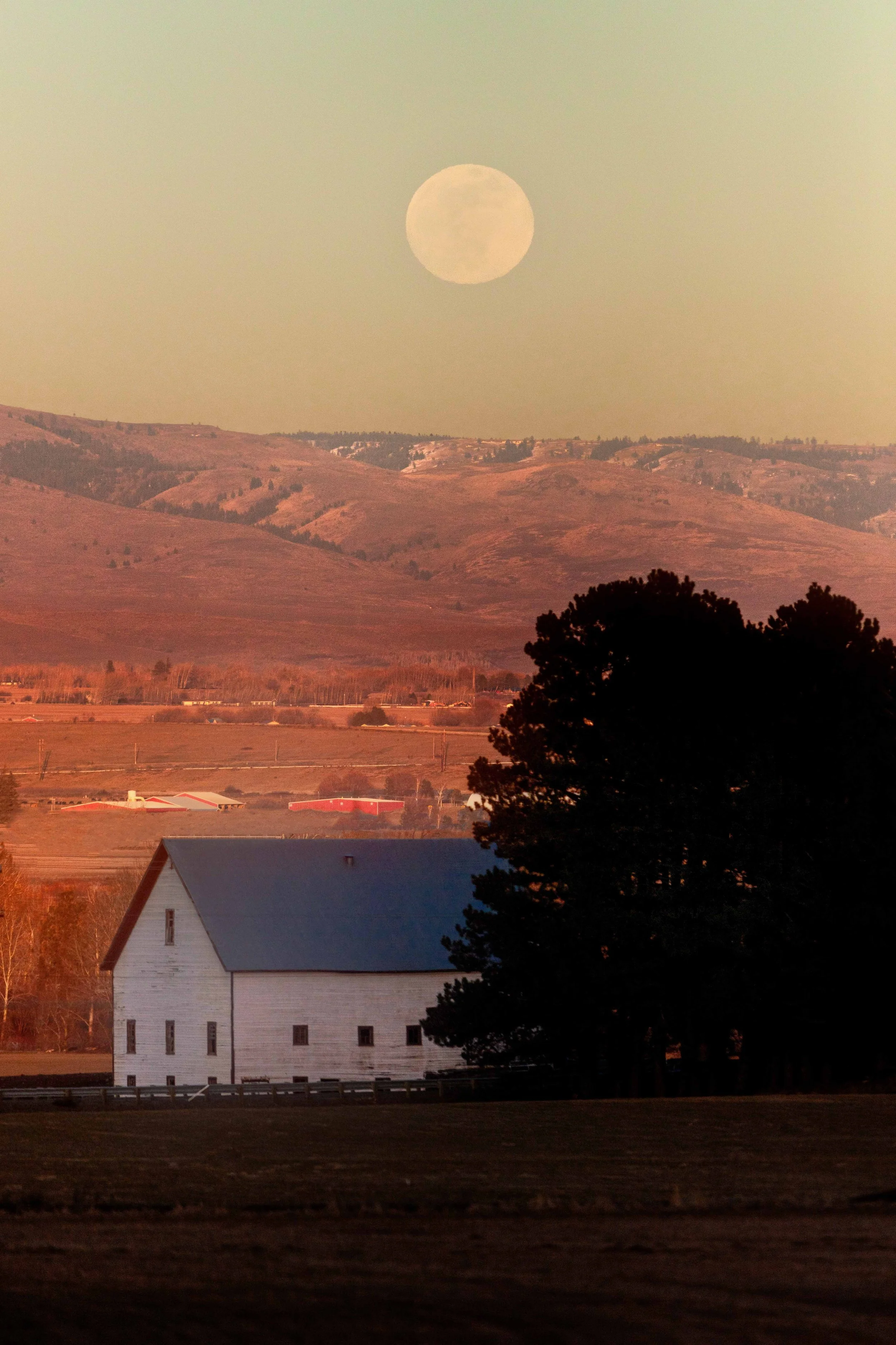 February Moon Over Barn websize.jpg