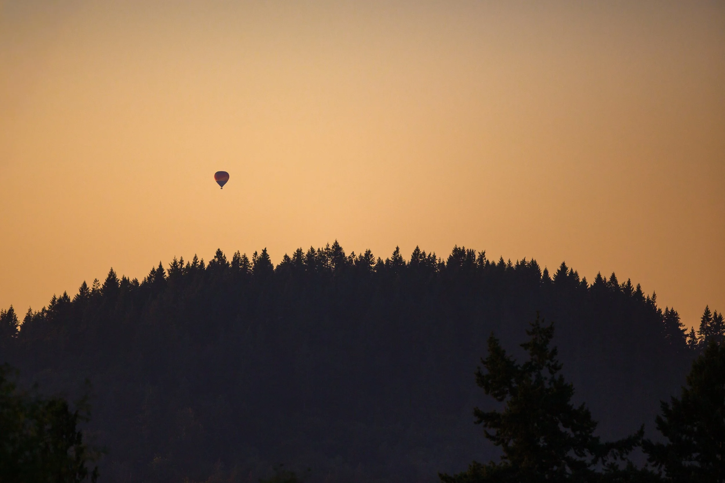 Hot Air Balloon over Trees.jpg