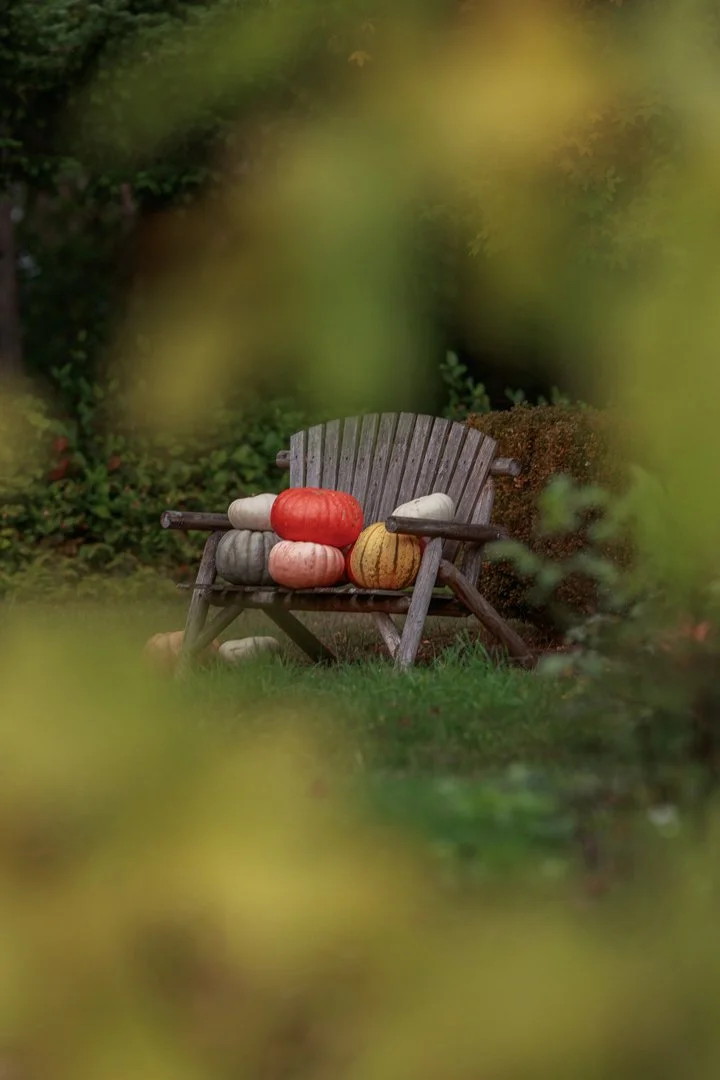Pumpkins on a Chair.jpg