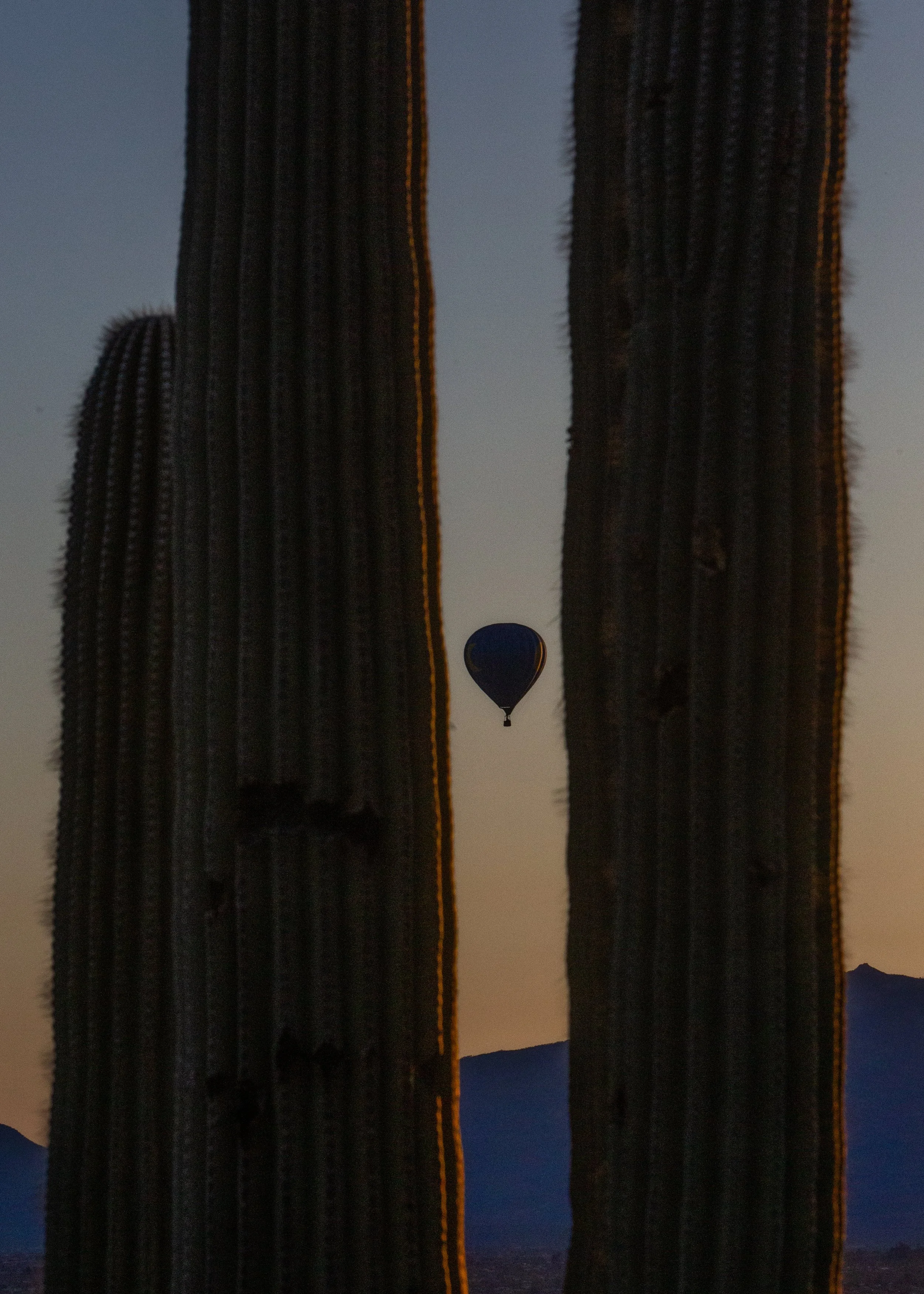 Ballon with Saguaros.jpg