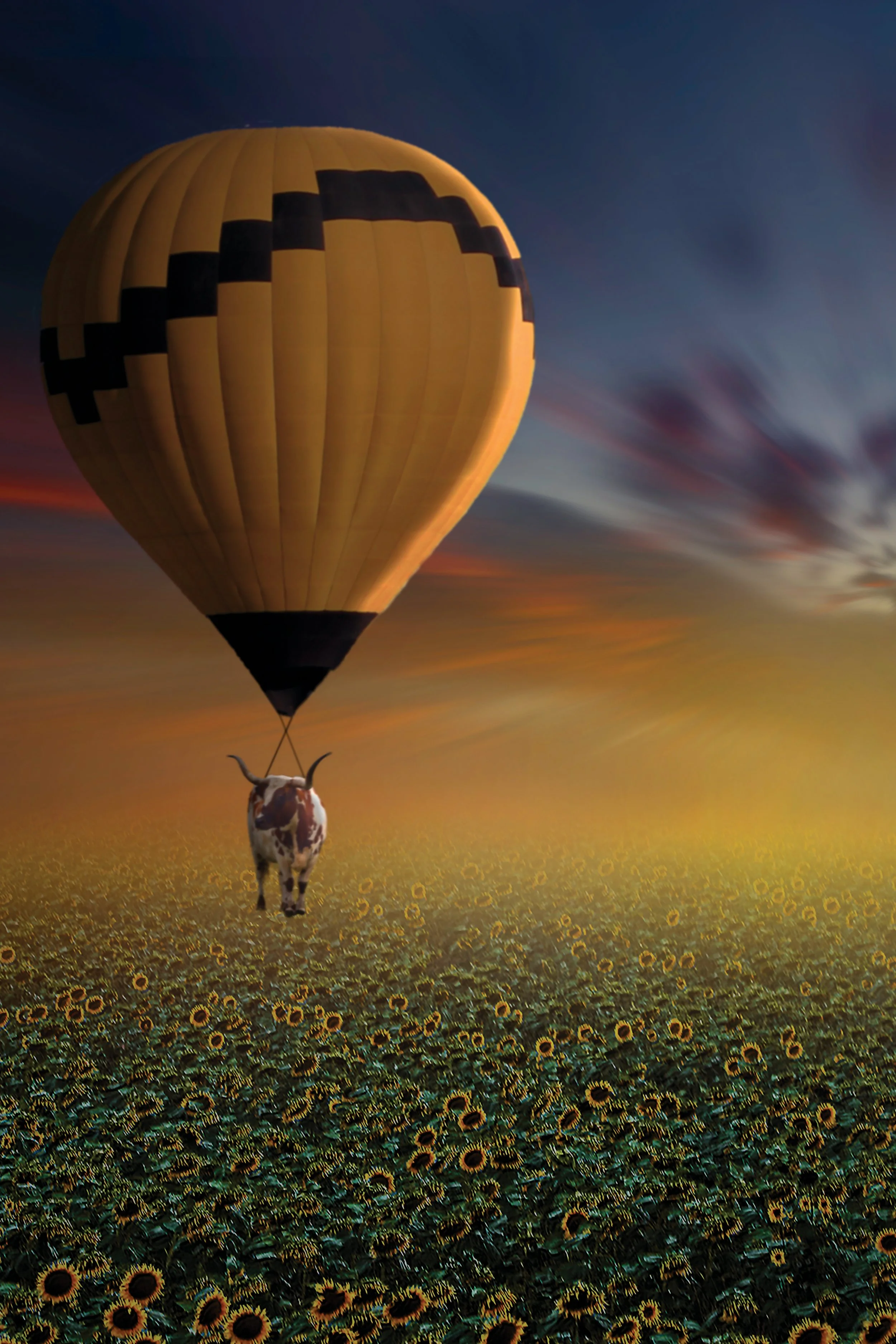 Sunflower Sunset with Cow and Balloon.jpg